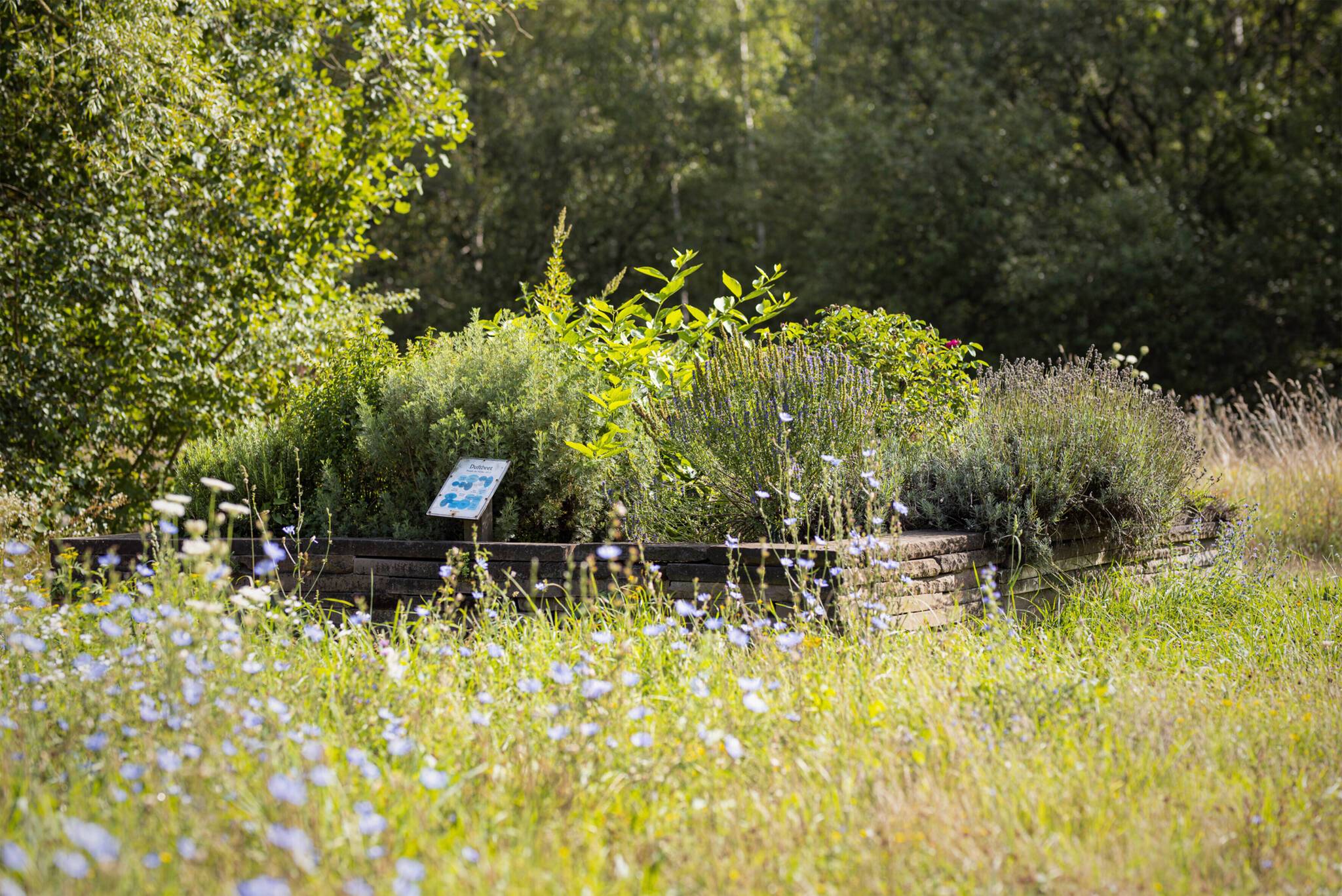  AUF DEM GELÄNDE BEFINDEN SICH UNTERSCHIEDLICHE BEET-,KRÄUTER- UND GESTEINSFORMATIONEN, DIE ZUM TEIL VON JUGENDLICHEN ANGELEGT WURDEN, DIE IM UMWELTZENTRUM EIN FREIWILLIGES ÖKOLOGISCHES JAHR ABSOLVIEREN. 