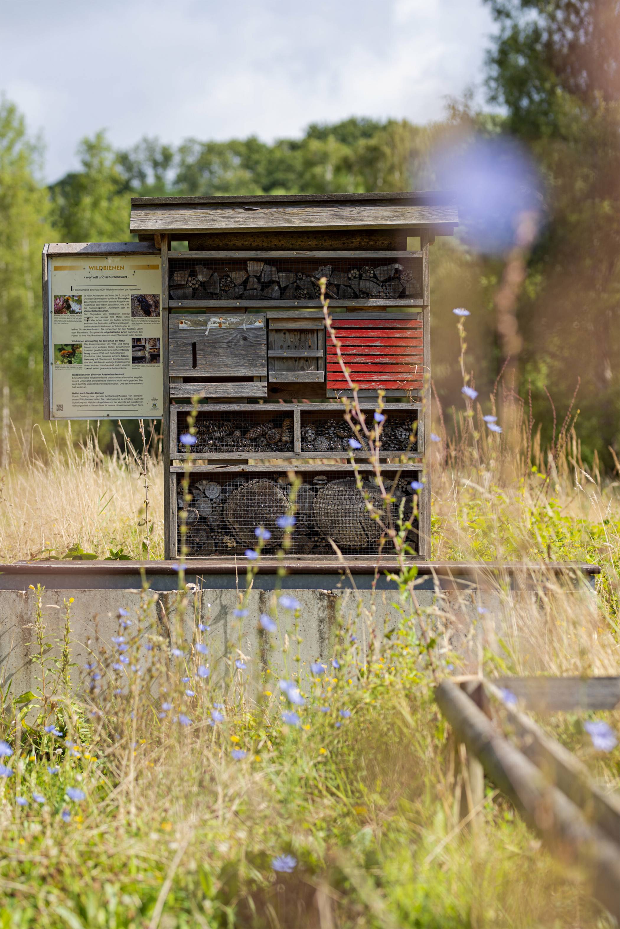   ANFANG DES RUNDGANGS STEHT EIN GROSSES INSEKTENHOTEL. JE NÄHER MAN KOMMT, UMSO GERÄUSCHVOLLER WIRD DAS SUMMEN. DIE INSEKTEN FINDEN HIER UNTERSCHLUPF UND REICHLICH NAHRUNG DURCH EINE VIELZAHL AN BLÜTEN IM DIREKTEN UMFELD. 