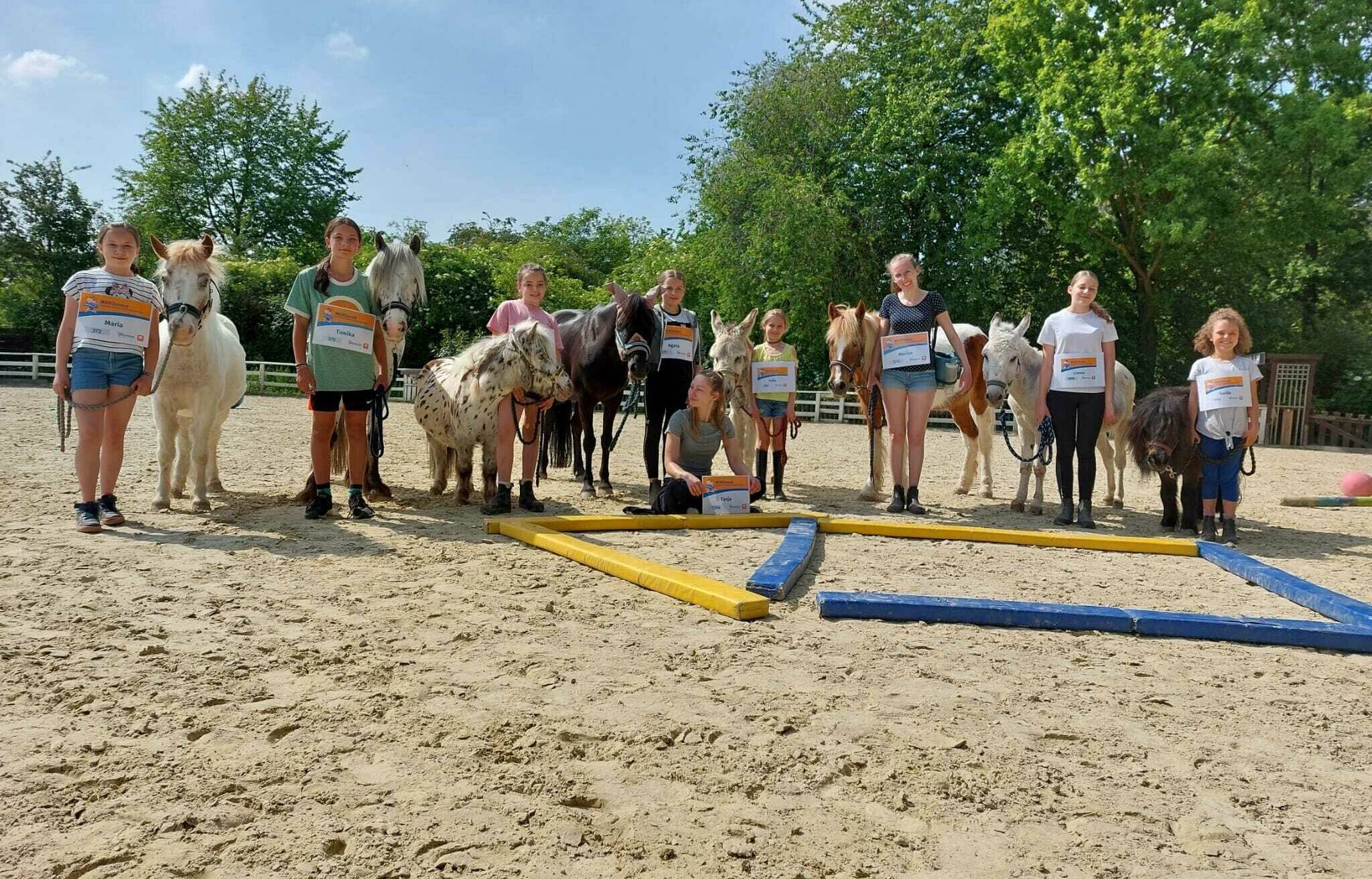  Die Zukunft des Jugendprogramms der Arche Noah Meerbusch ist unklar. Die Tierfarm plagen schwere wirtschaftliche Sorgen. 