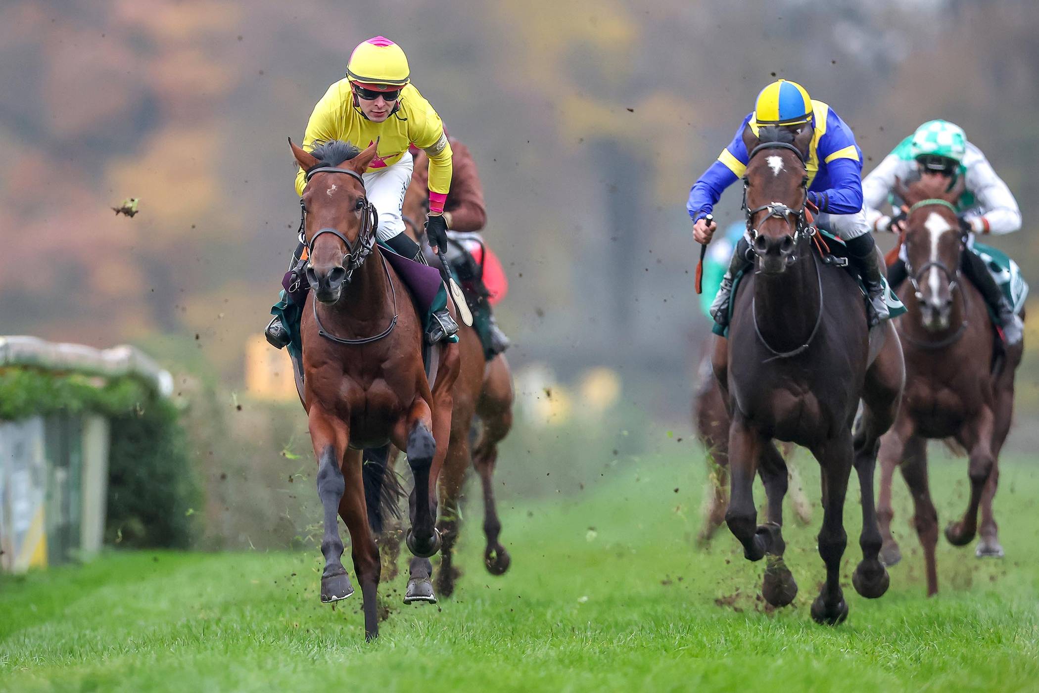 Pompeo Dream gelingt die Sensation