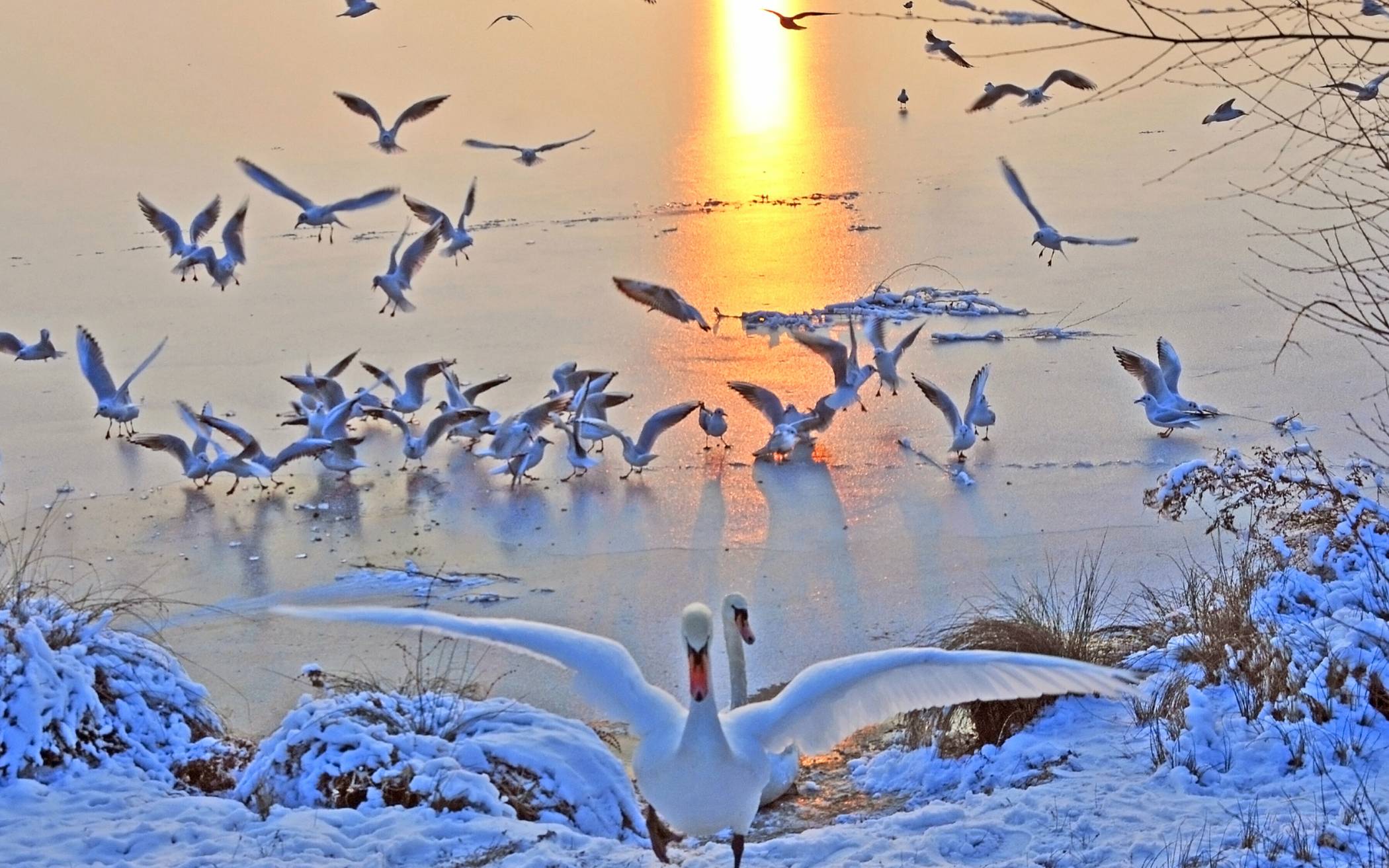 Die Kleinen Welten kommen mit "Weihnachten