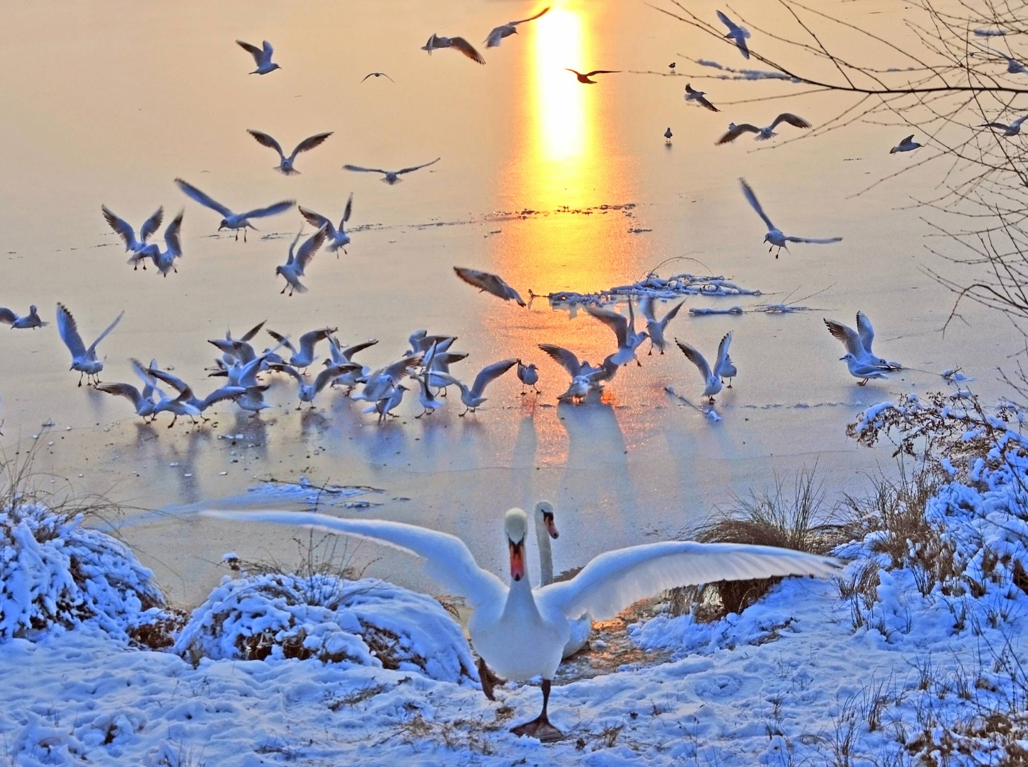 Die Kleinen Welten kommen mit "Weihnachten am Niederrhein" in die ev. Dorfkirche Schwafheim.