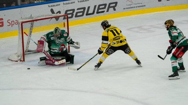 Freitagabend: Krefeld Pinguine vs. Starbulls Rosenheim