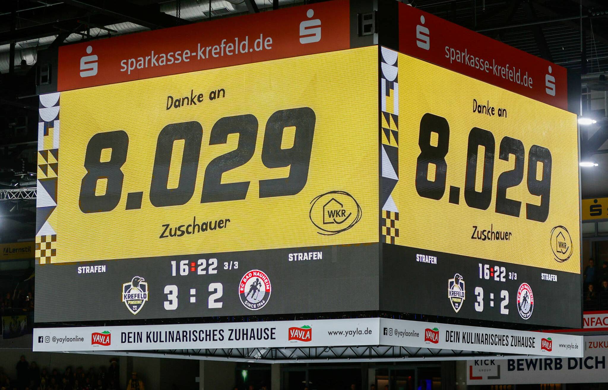 Pinguine gewinnen gegen Rote Teufel