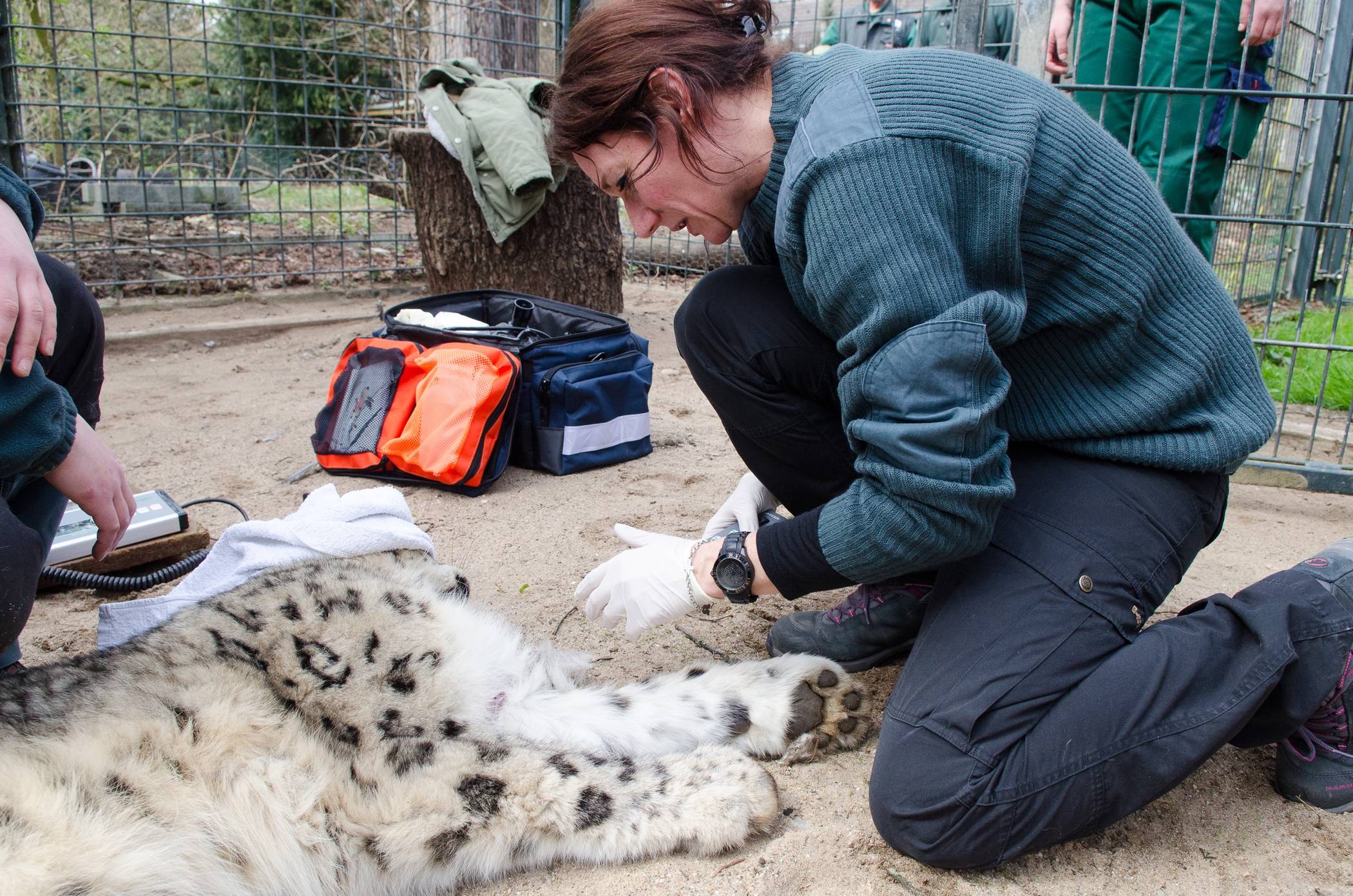 Nur noch selten kommt Dr. Stefanie Markowski dazu, Tiere medizinisch zu versorgen.