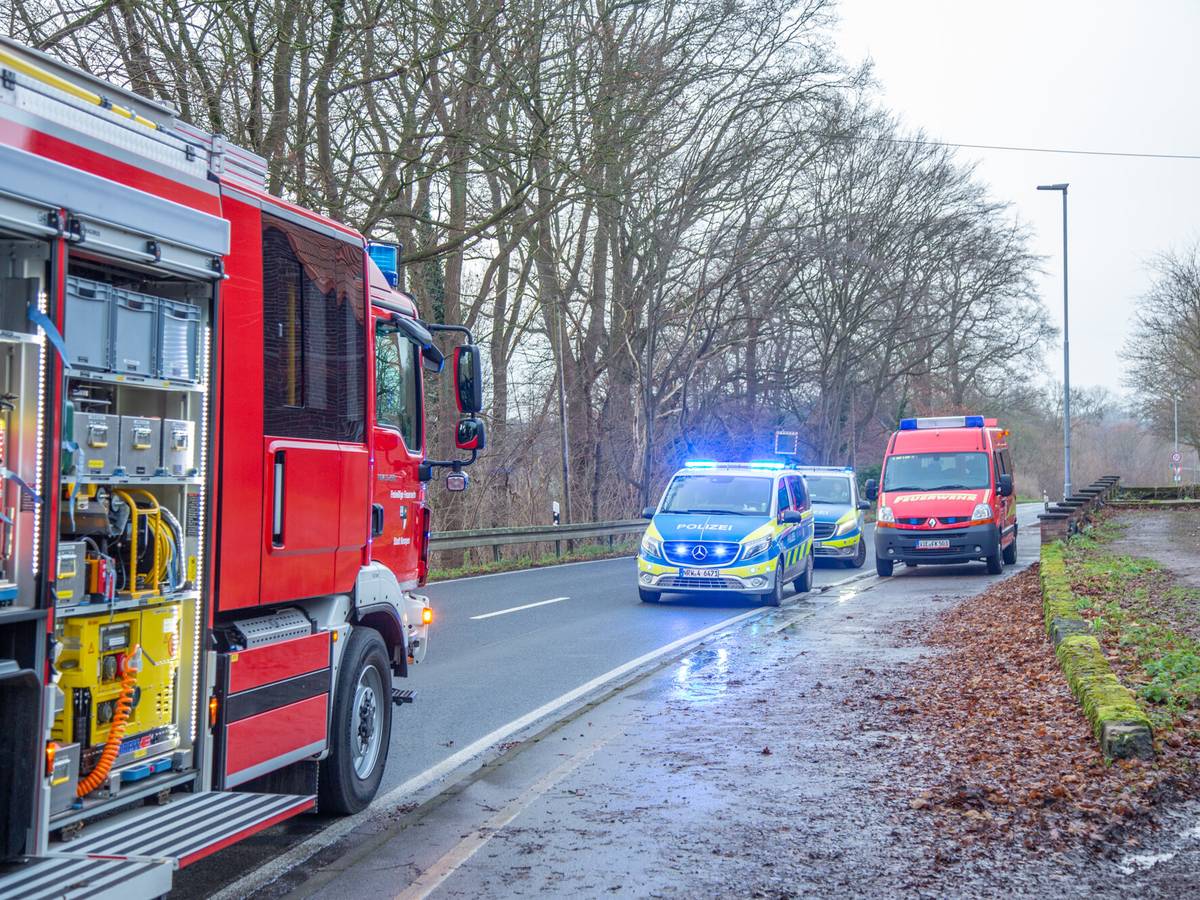 Lieferdienstfahrzeug kracht vor Baum
