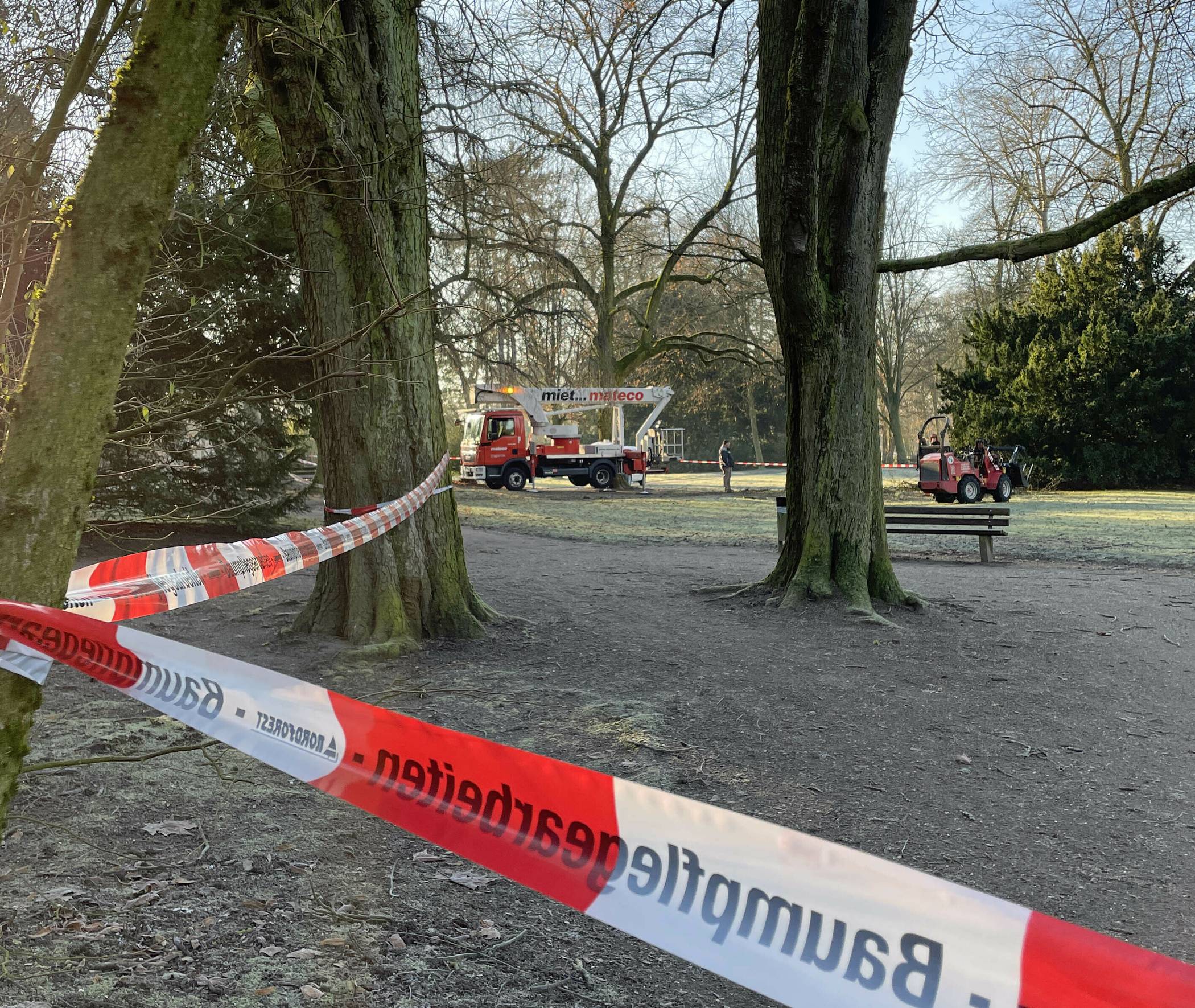  Die Baumfällungen im Schlosspark haben begonnen. 
