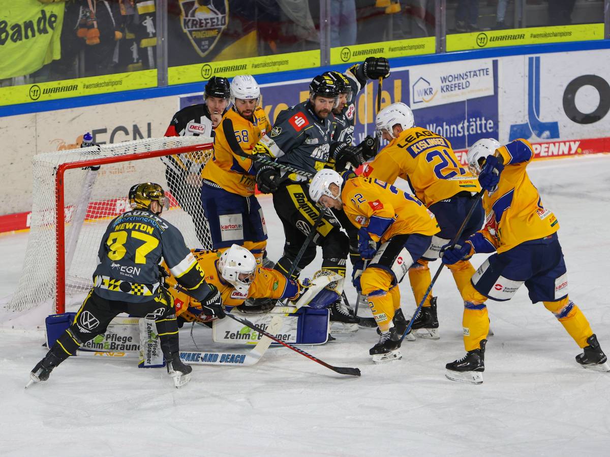 Krefeld Pinguine bezwingen Lausitzer Füchse
