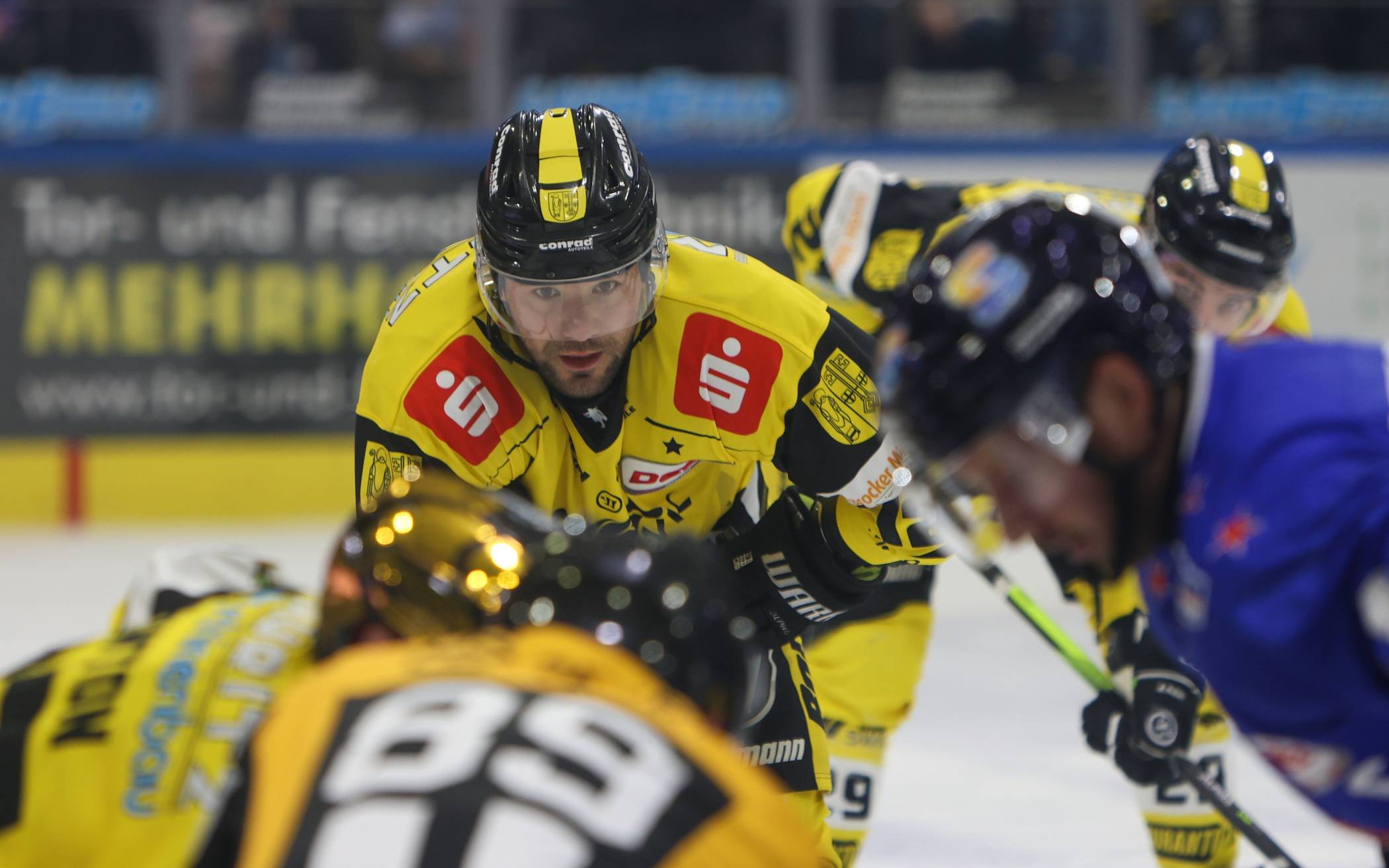 Krefeld Pinguine verlängern Vertrag mit David Cerny