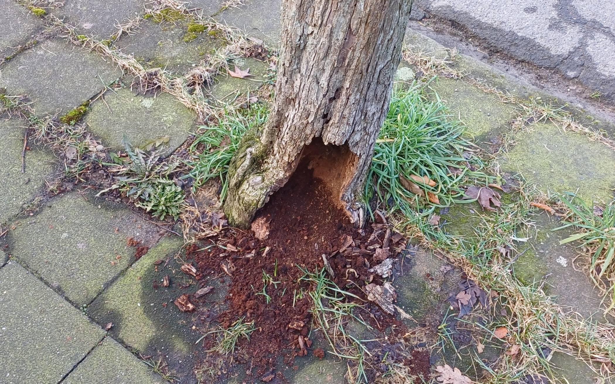 Foto: Stadt Nettetal