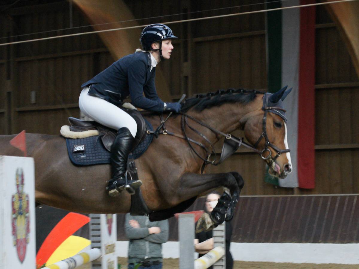 Turnier der jungen Pferde in Krefeld
