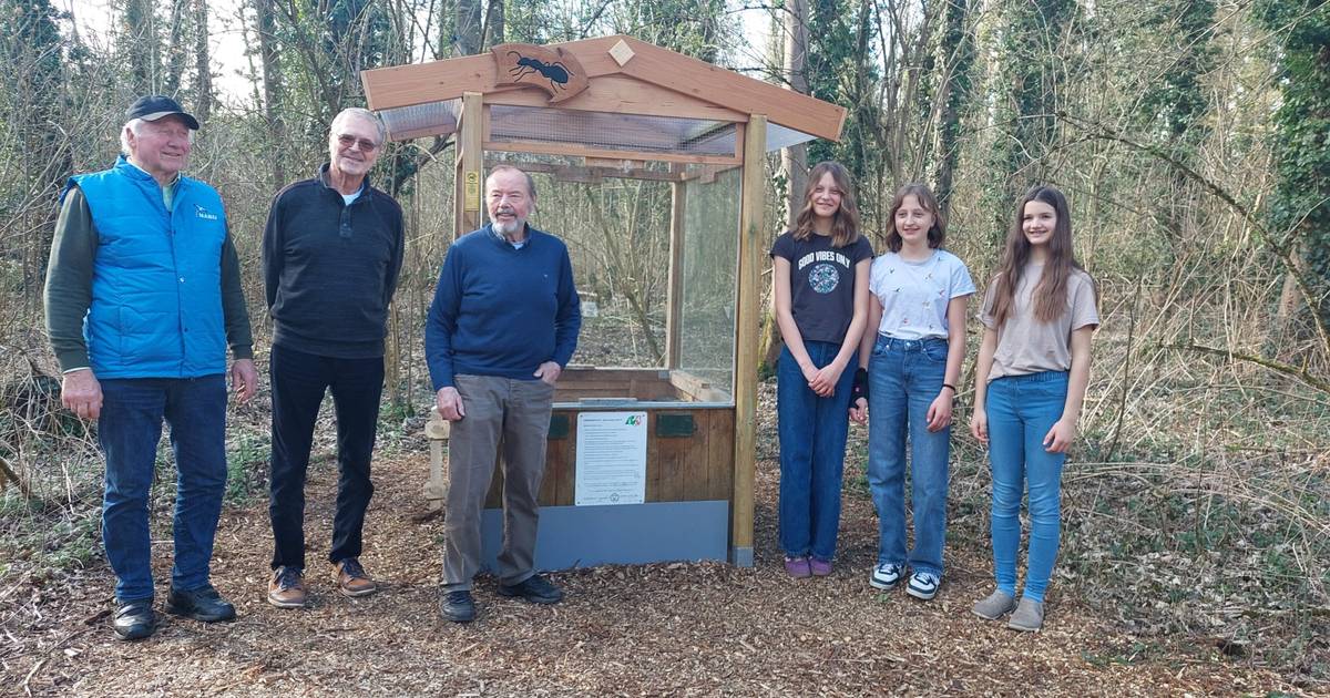 Formicarium im Schlosspark Neersen.