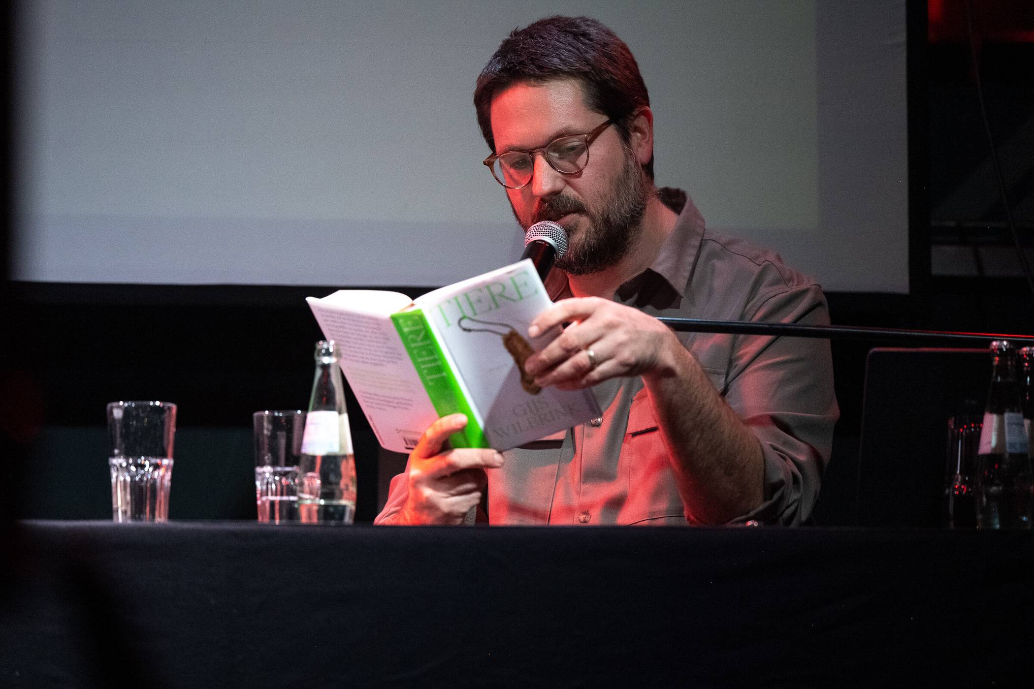 Vier hinreißende Romane aus den Niederlanden