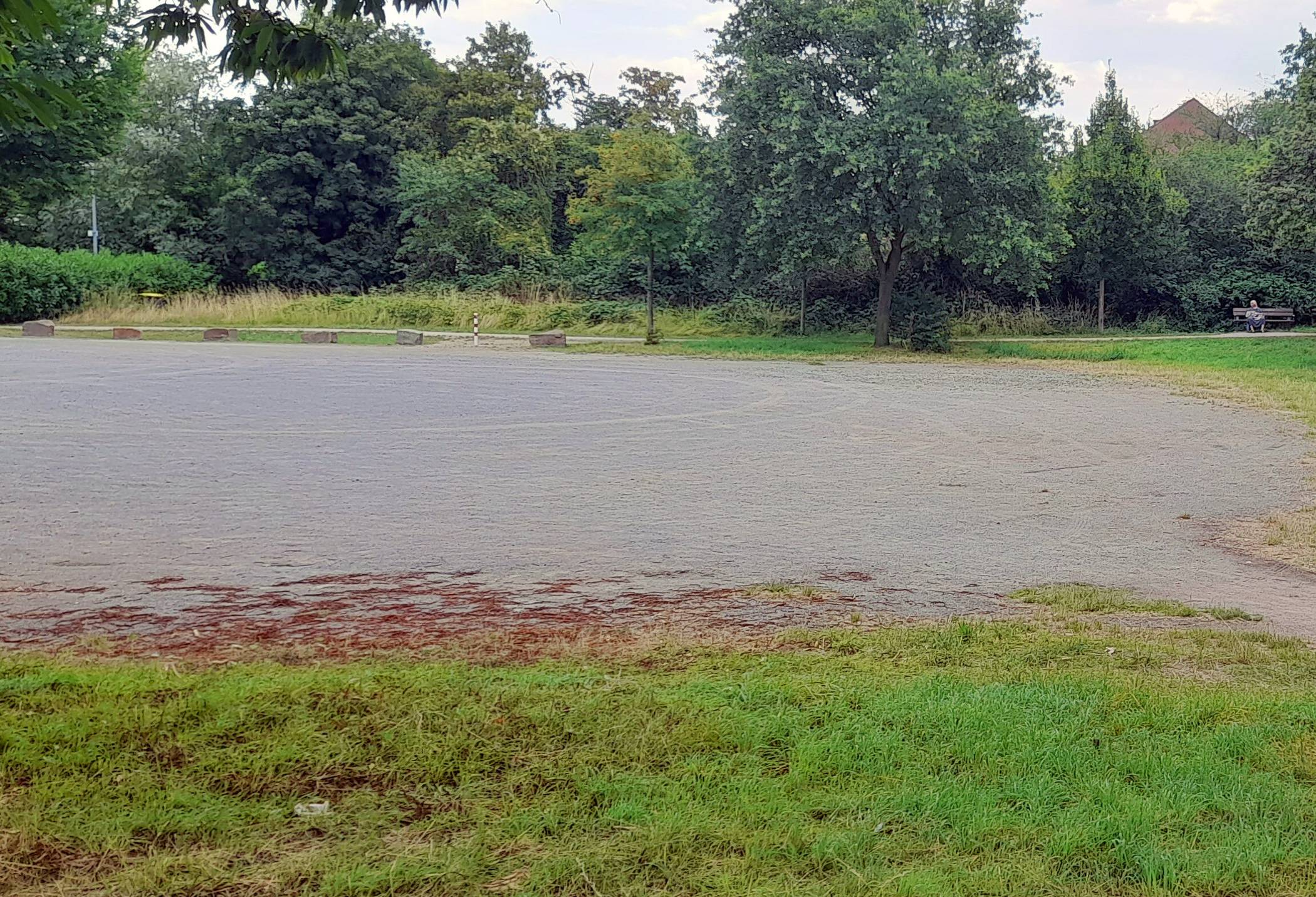 Die in die Jahre gekommene Fläche im hinteren Bereich des Parkplatzes wird in Zusammenarbeit mit dem Verein ‚Pflanz einen Baum e.V.‘ und weiteren Schwafheimer Vereinen saniert und mit einer neuen Wegedecke ausgestattet.