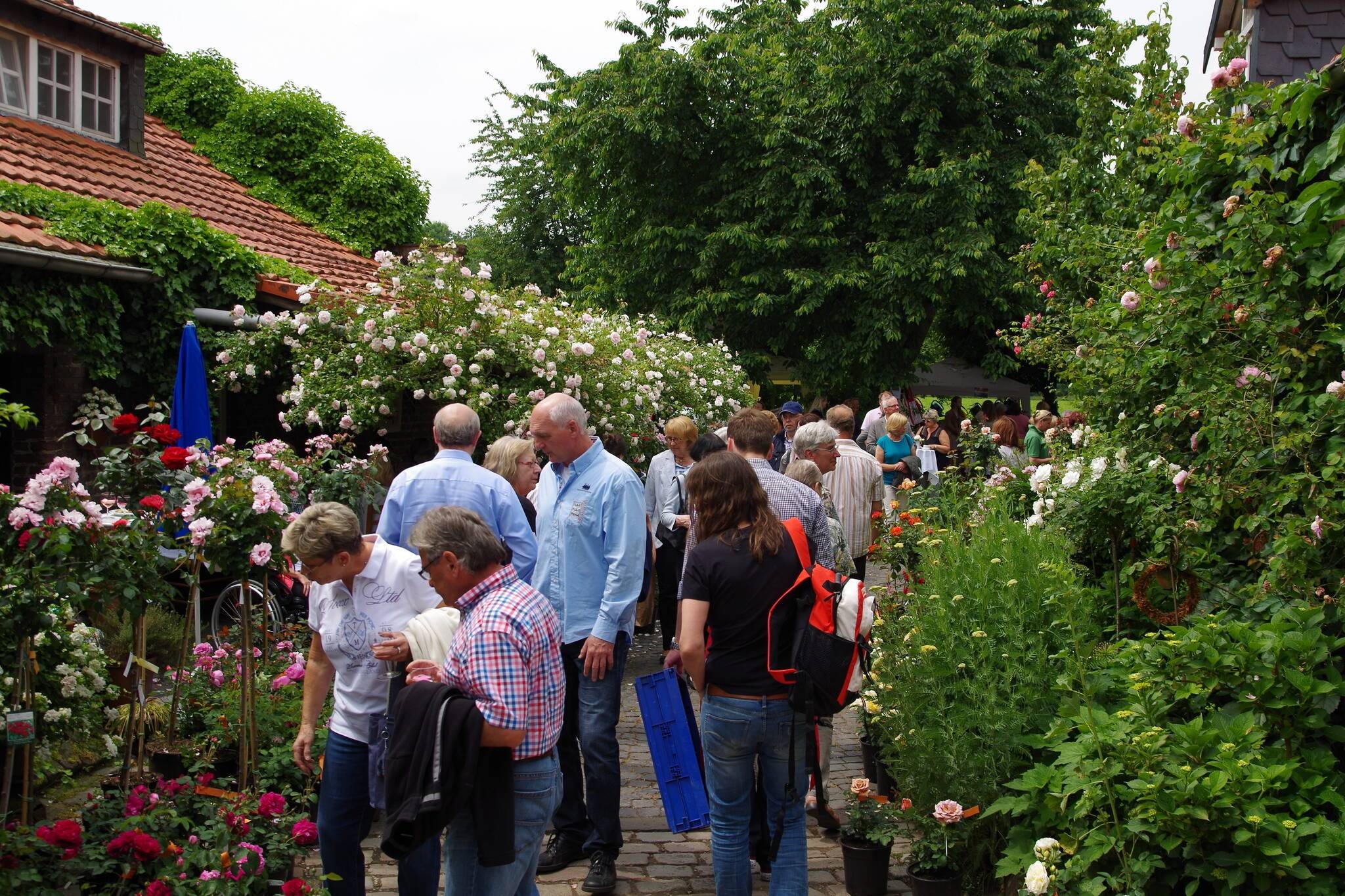 20. Rosenfest des Lions Clubs Rheurdt/Niederrhein