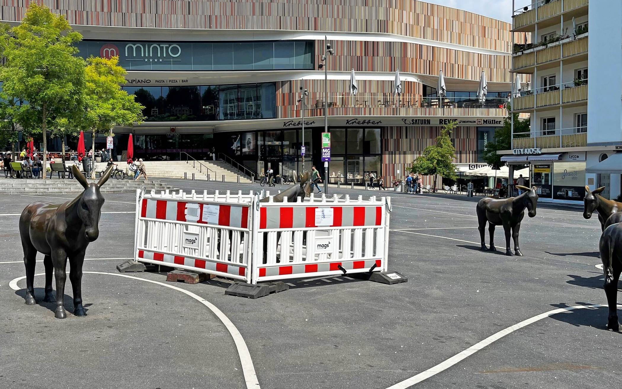 Einer der Esel auf dem Sonnenhausplatz ist eingesperrt. Ein Fall von Vandalismus. 