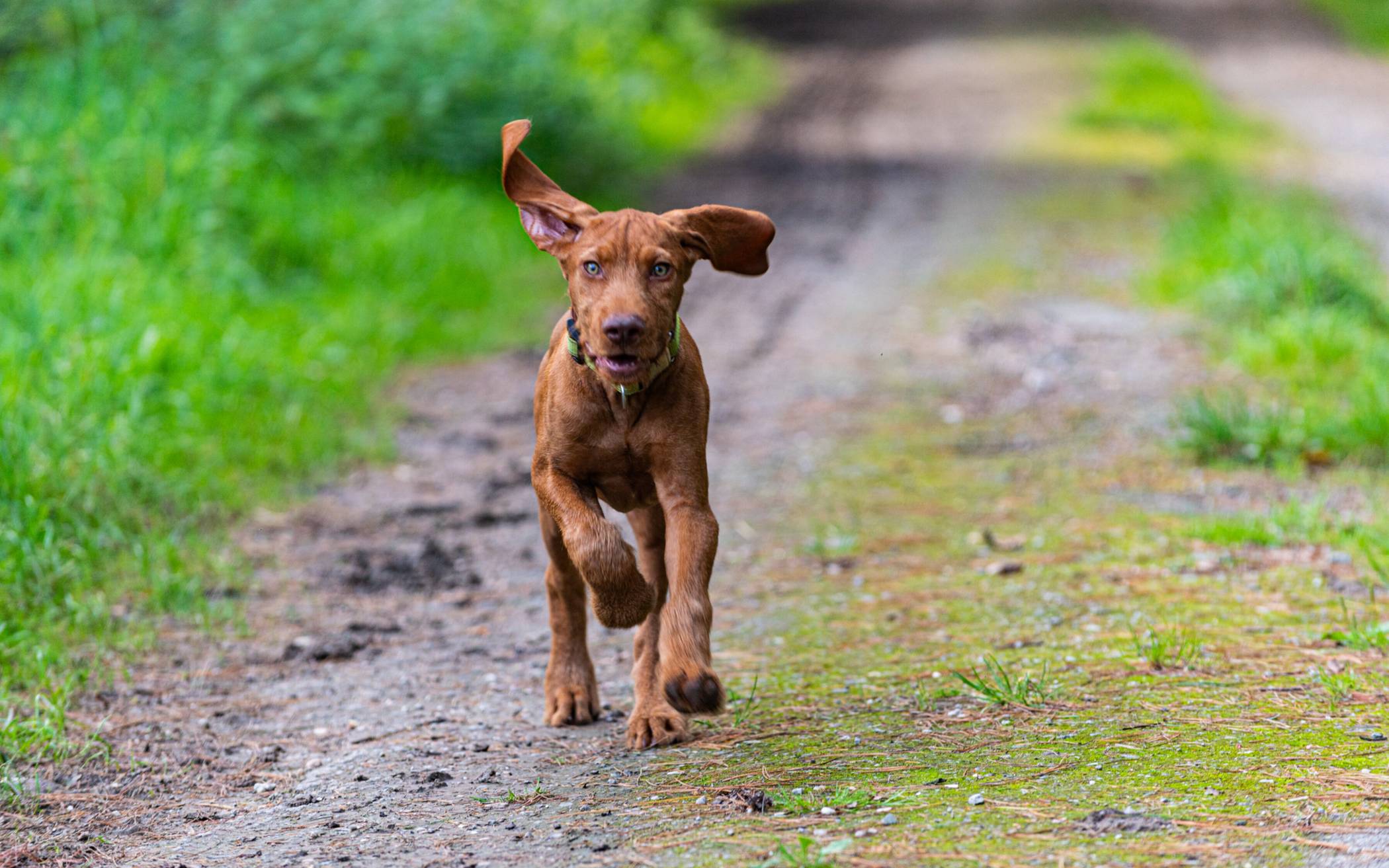 Auch in diesem Jahr lädt der
