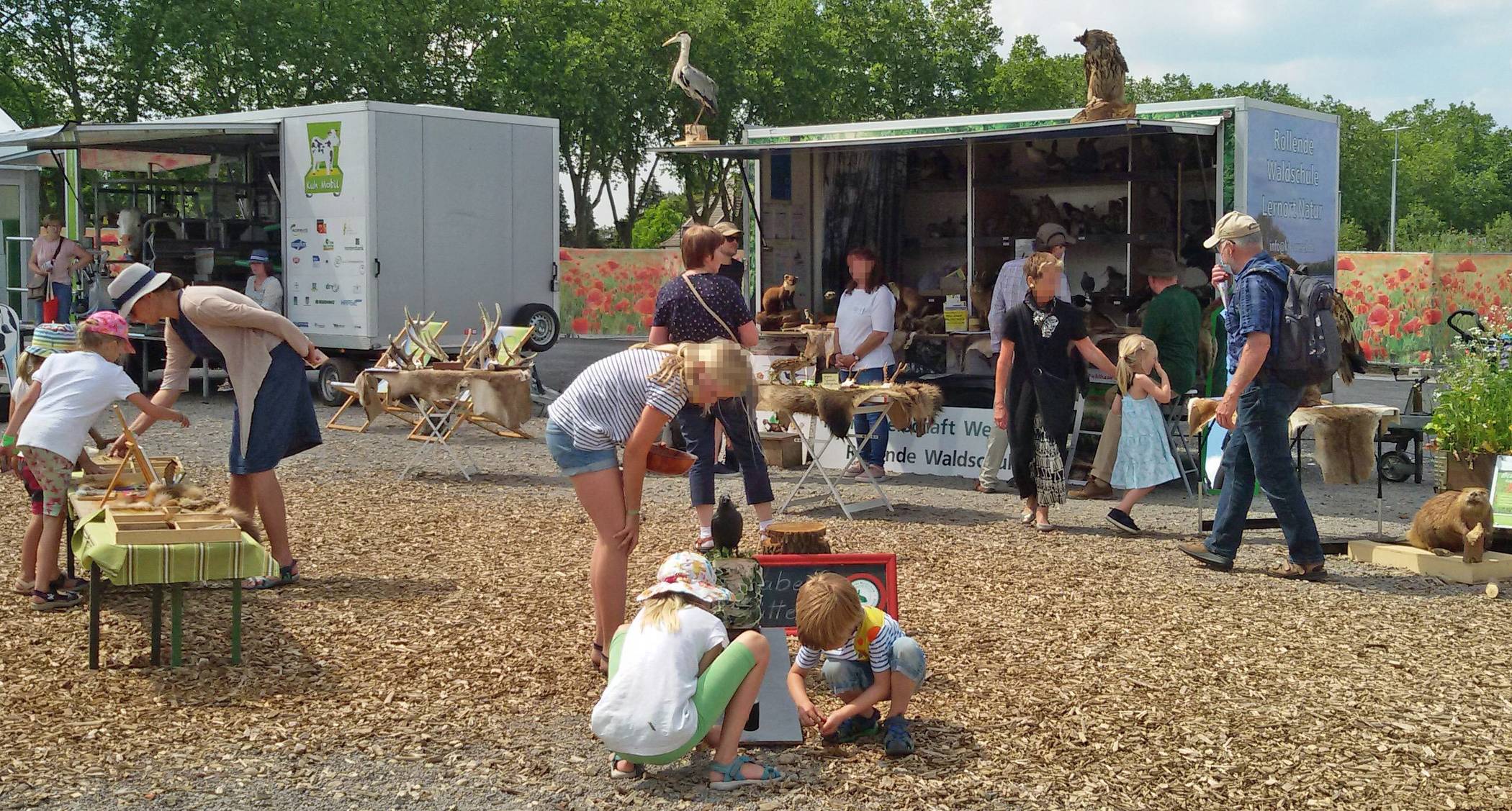  Die Rollende Waldschule ist immer ein Anziehungspunkt. Insgesamt stellen sich beim Moerser Umwelttag mehr als 20 Vereine, Organisationen und Verbände mit Aktionen vor. 