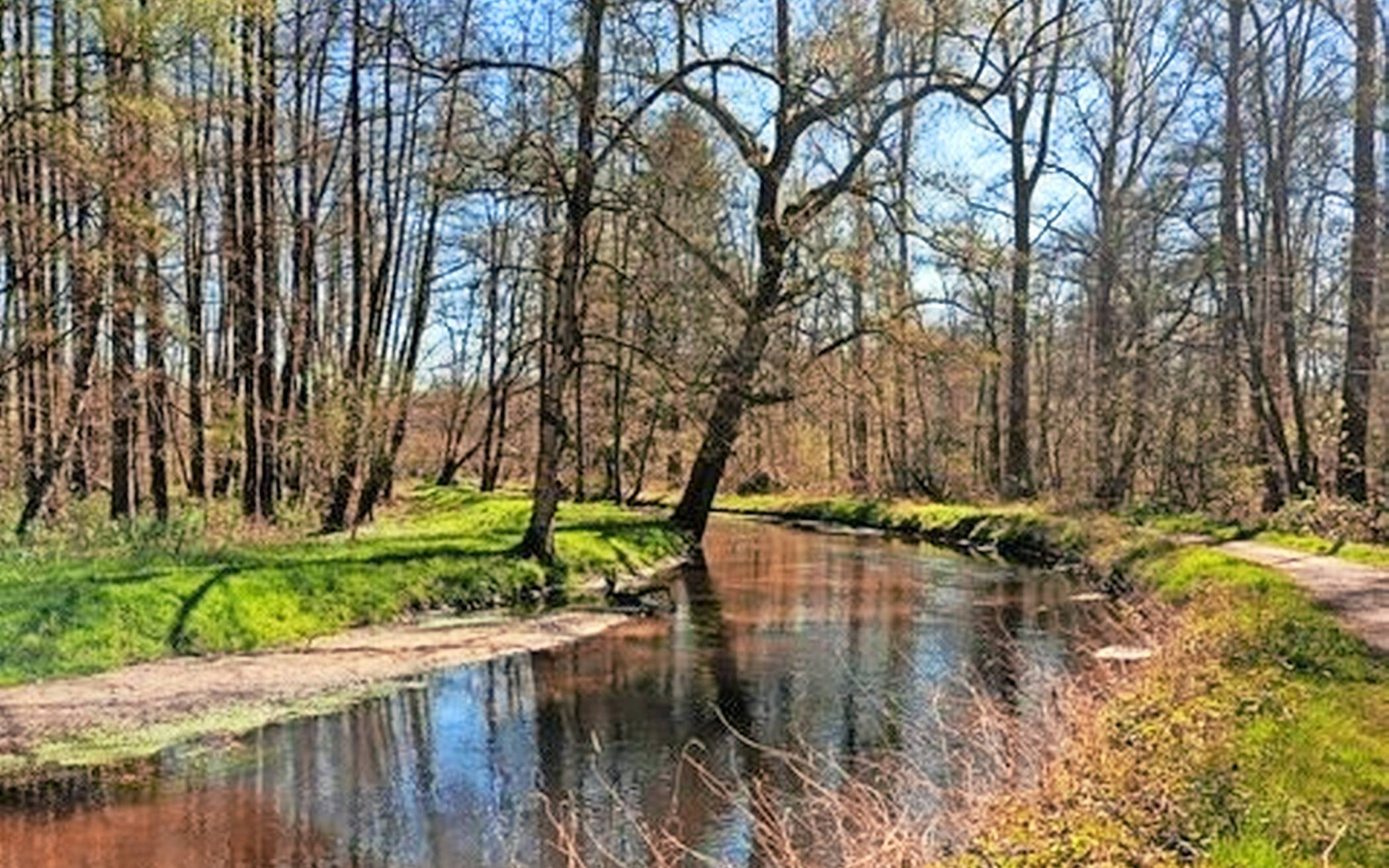 Die Benefizwanderung führt diesmal durch die