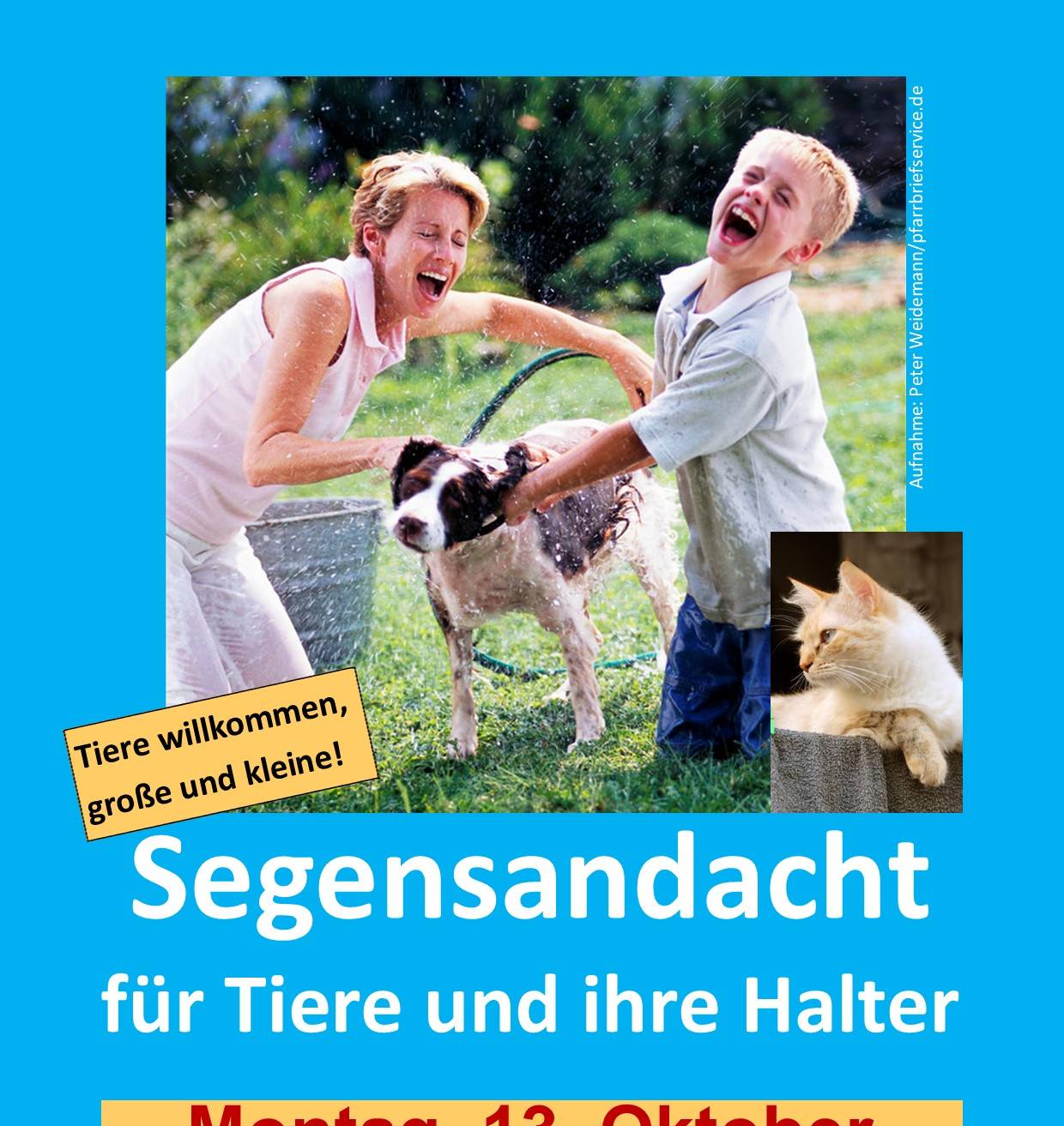 Die jährliche Segensandacht für Tiere und ihre Halter in der bekannten Abteikirche ist immer am 13. Oktober.