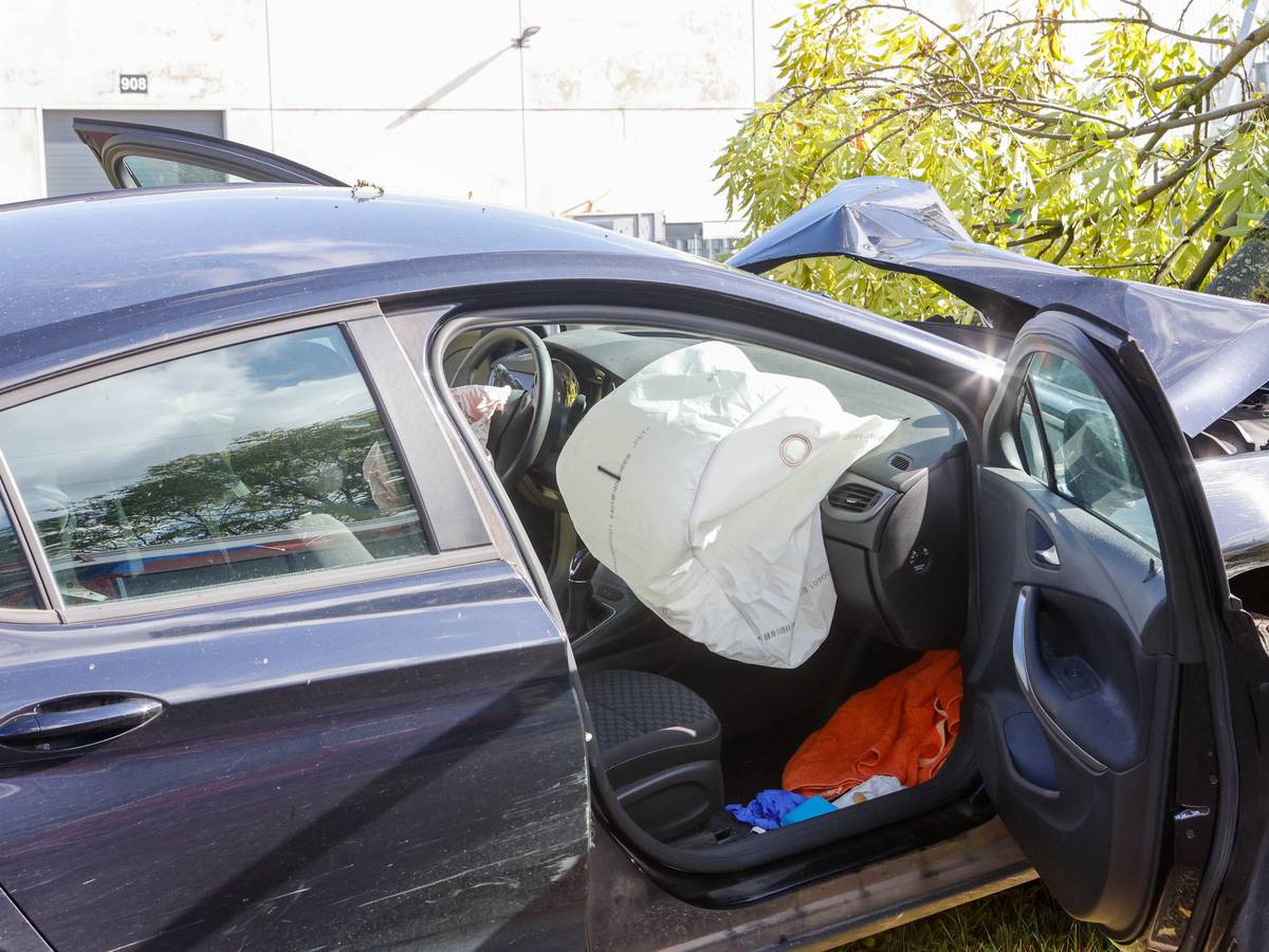 Baum entwurzelt, Fahrer schwer verletzt
