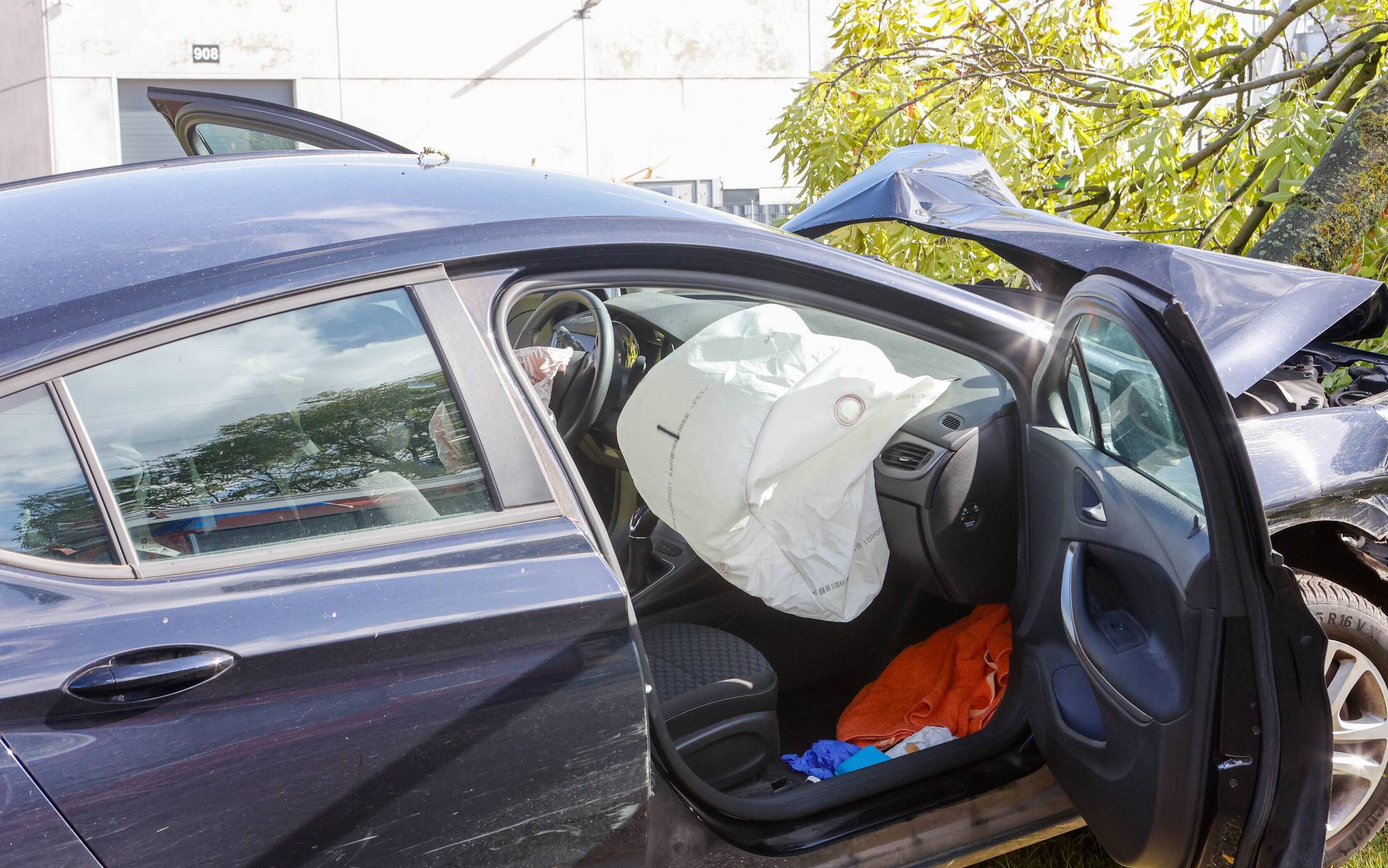 Baum entwurzelt, Fahrer schwer verletzt