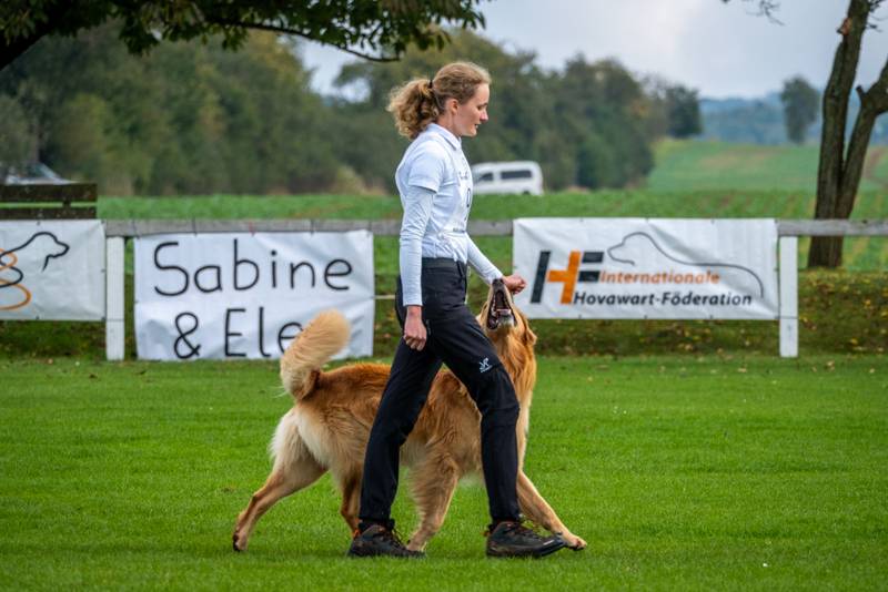  Alina Schommer vom Verein HSG MG-Hardt ist mit ihrem Hovawart-Rüden Chinjo Weltmeisterin geworden. 