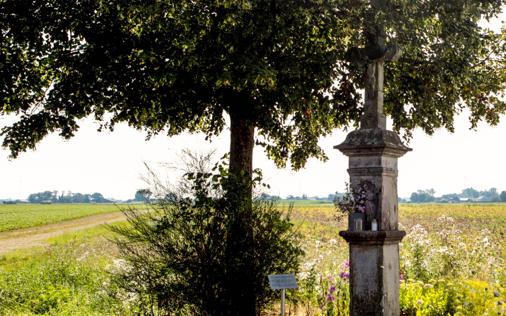 Eine Haltestelle vom Bürgerbusverein Willich: Das