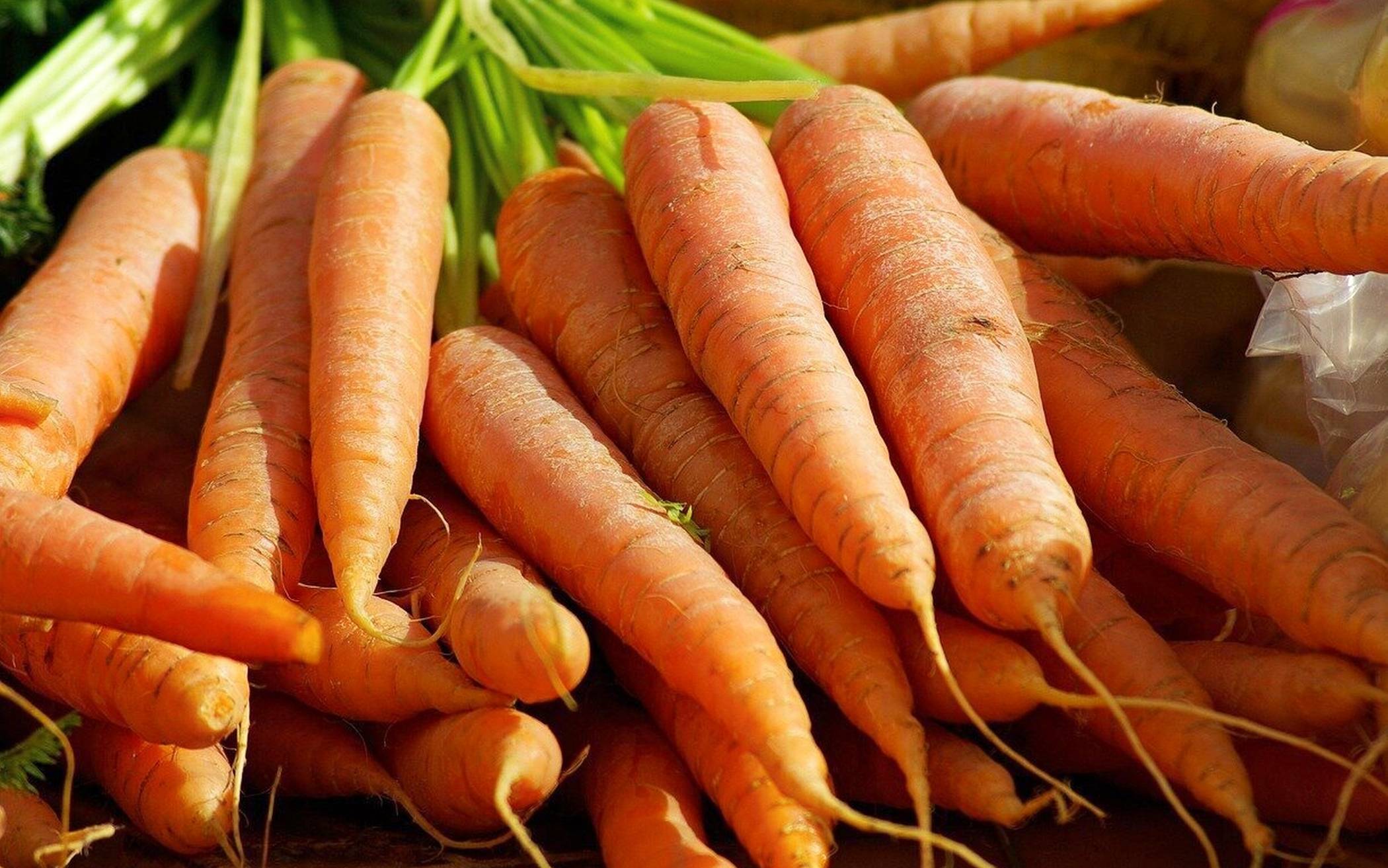 &#x21e5;Foto: pixabay