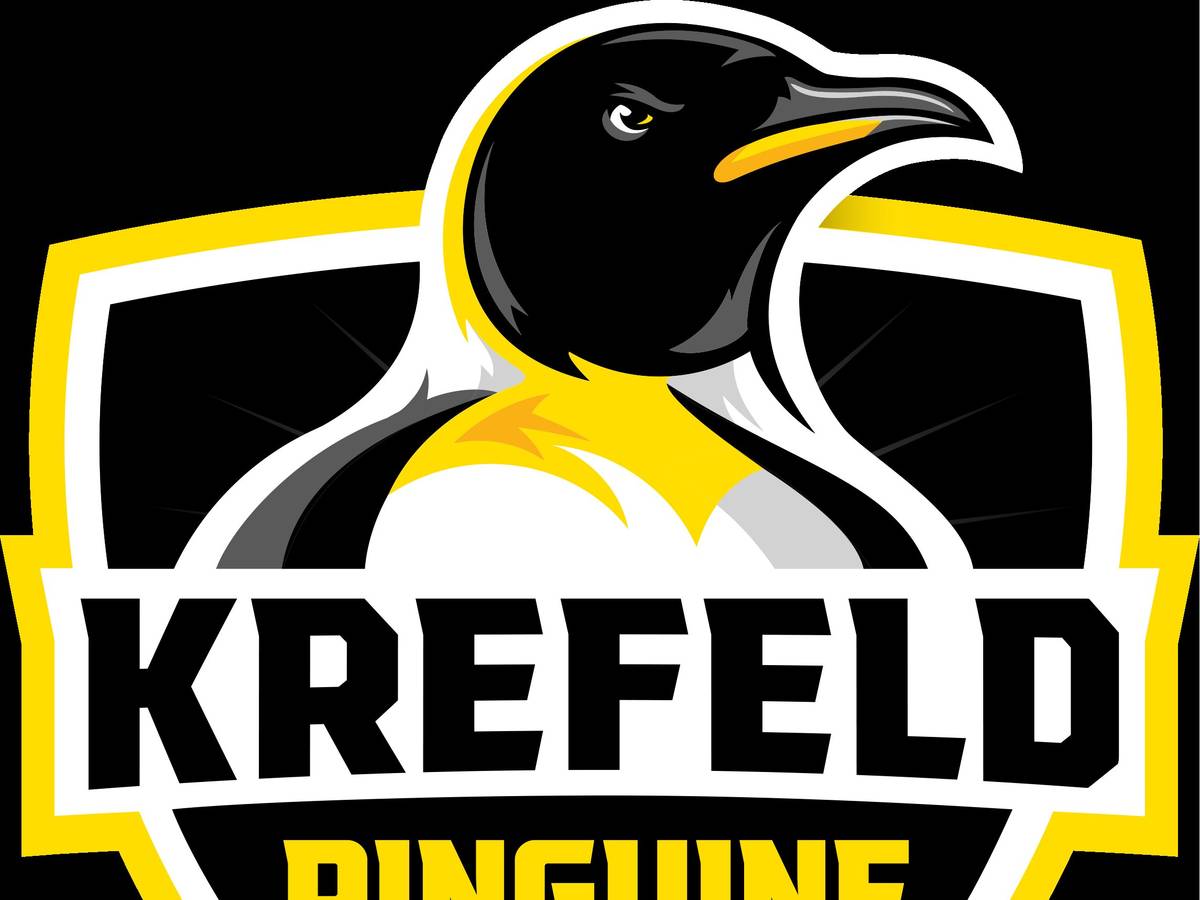 Pinguine erkämpfen sich einen Punkt in Kassel