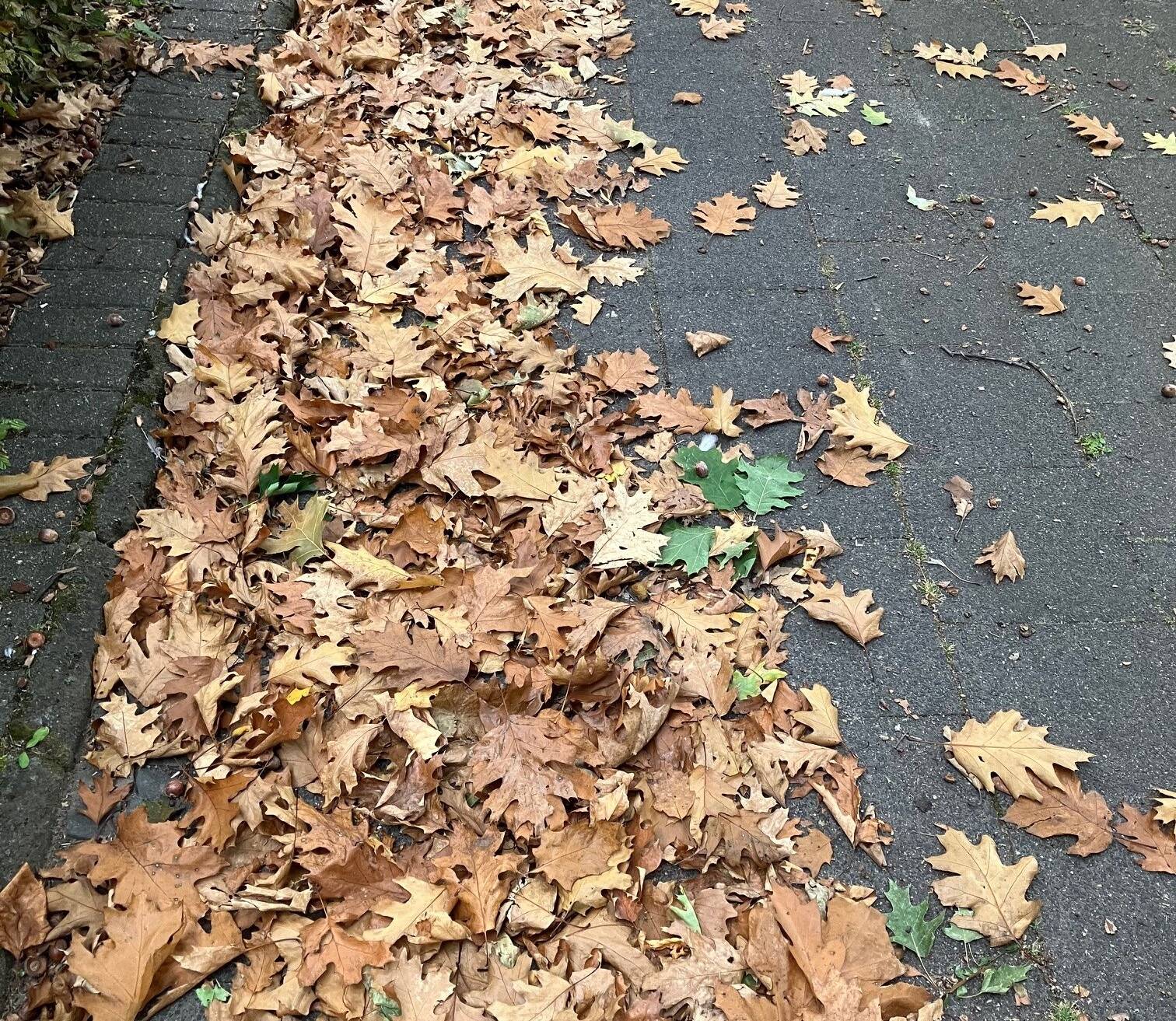 &#x21e5;Foto: Stadt Nettetal