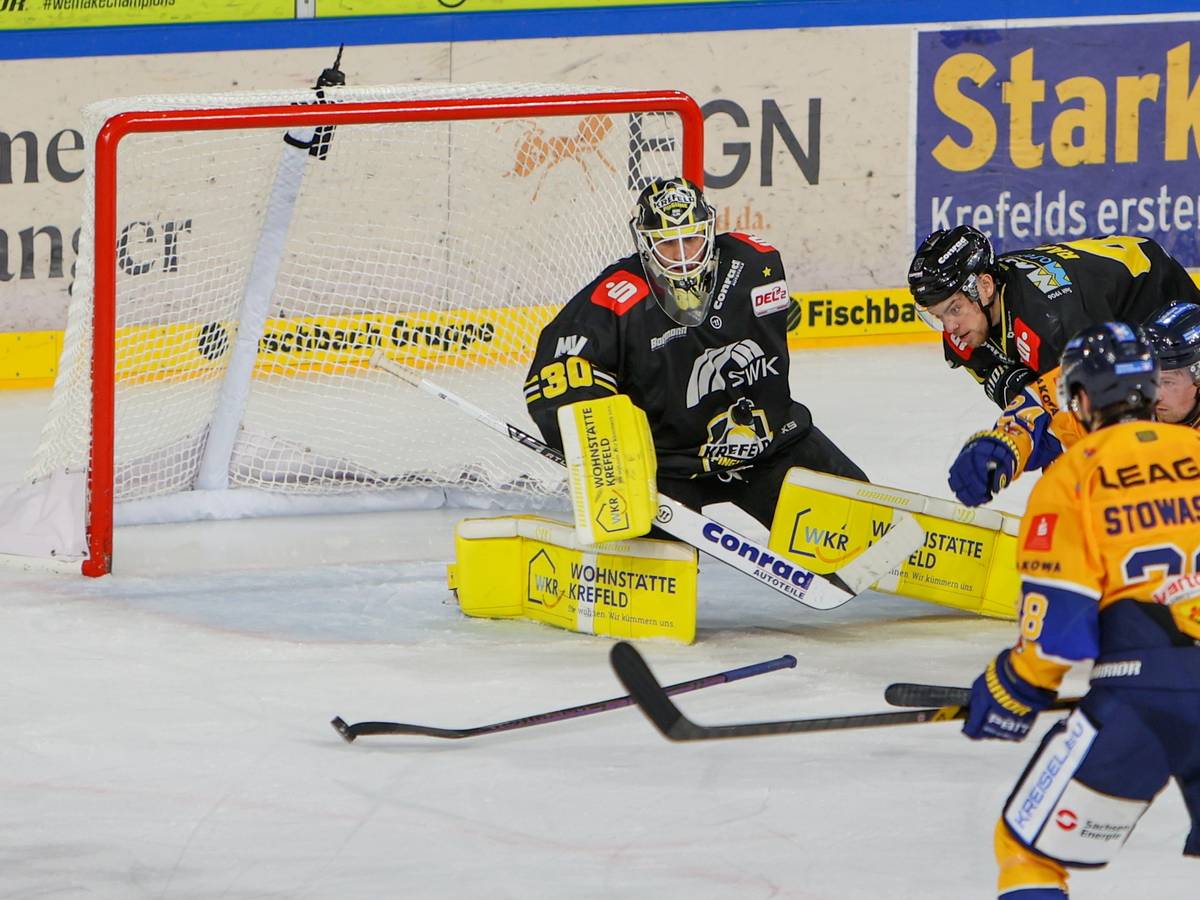 Pinguine schlagen Lausitzer Füchse mit 4:2