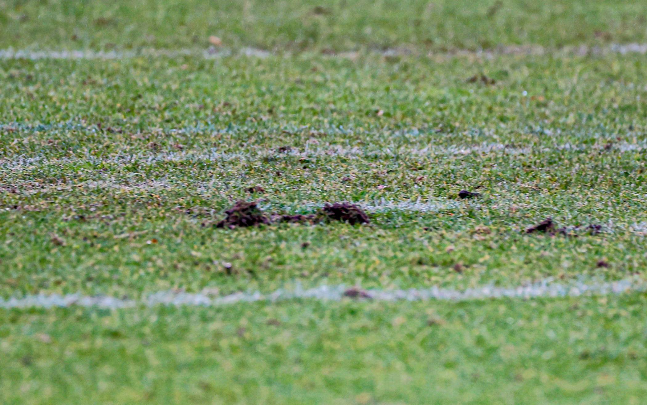 KFC: Topspiel abgesagt - Rasen unbespielbar