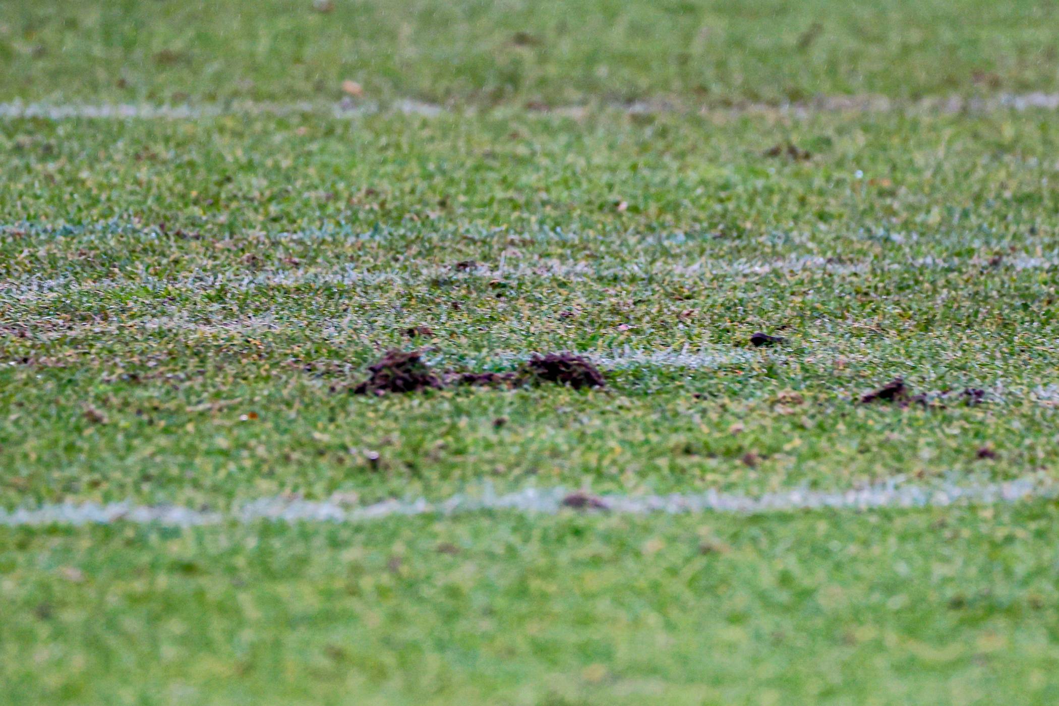 Nach Football-EM: Grotenburg-Rasen unbespielbar