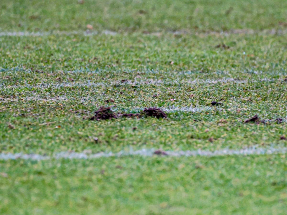 KFC: Topspiel abgesagt - Rasen unbespielbar