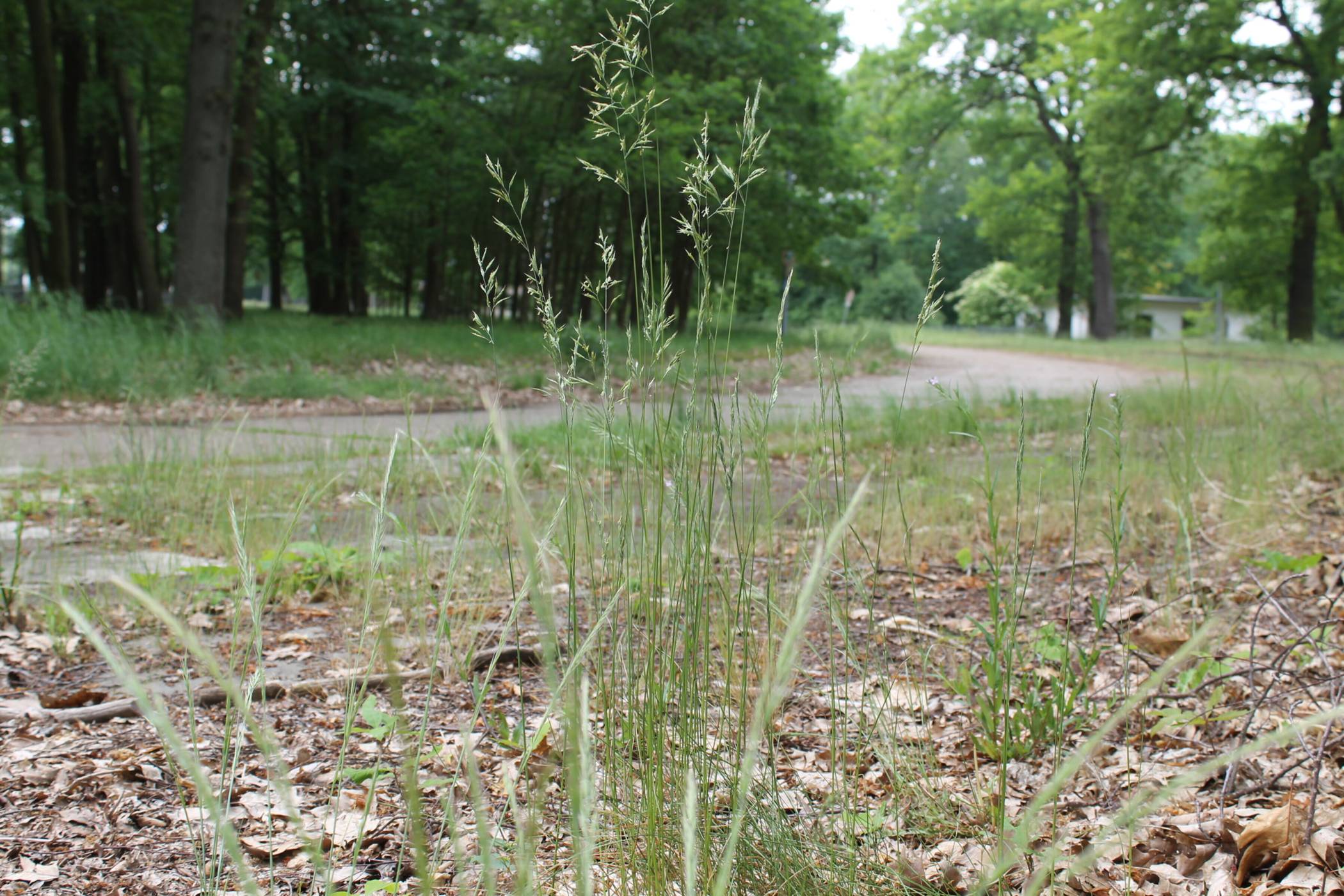 Gelände des ehemaligen NATO-Hauptquartiers JHQ. 