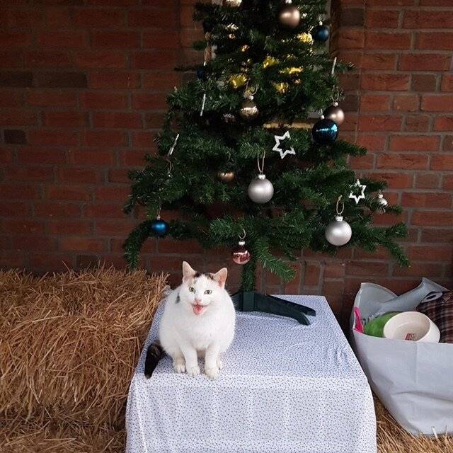 Für die tierischen Bewohner gibt's einen