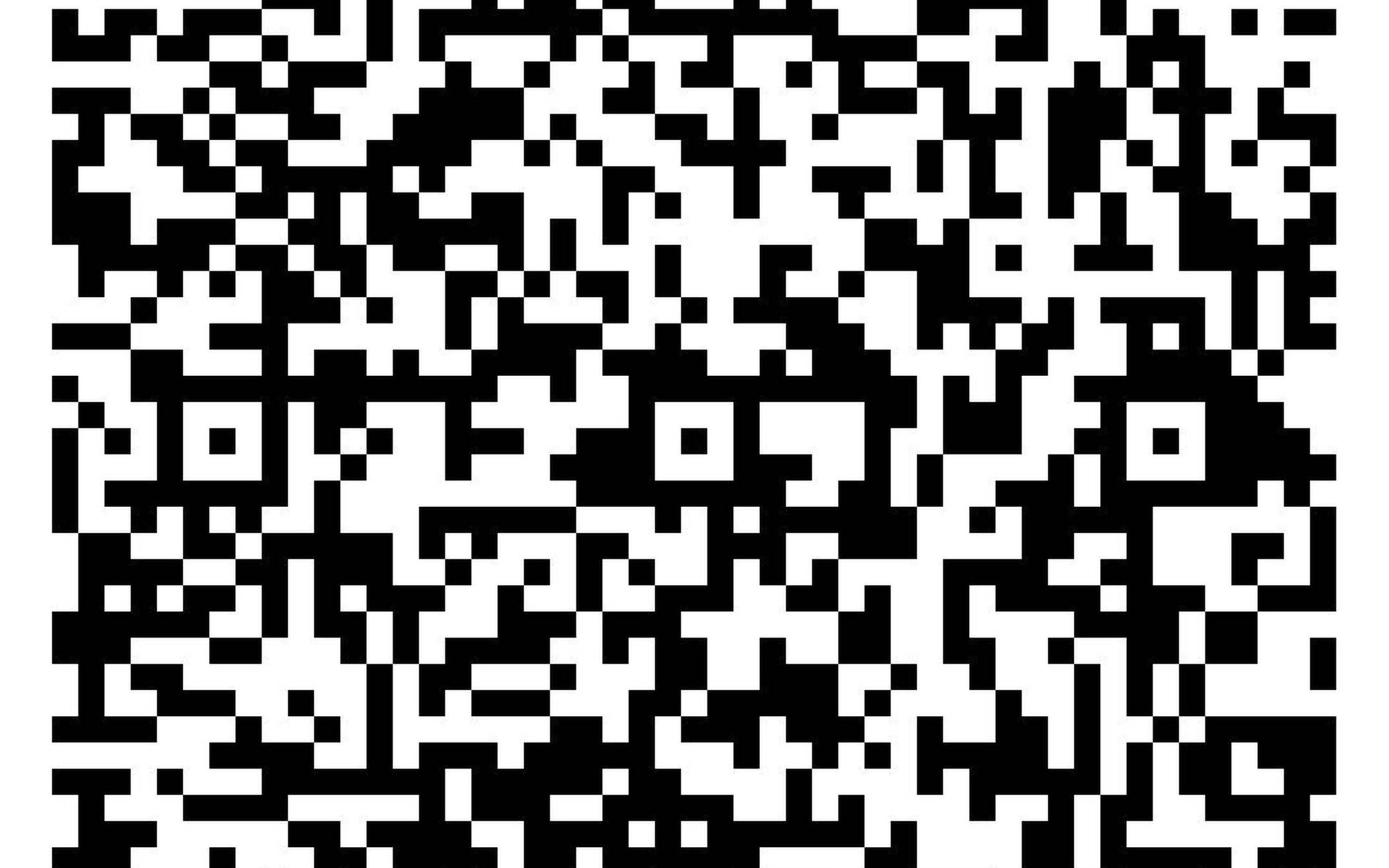 Über den QR-Code geht es dirkt zur Auktion.