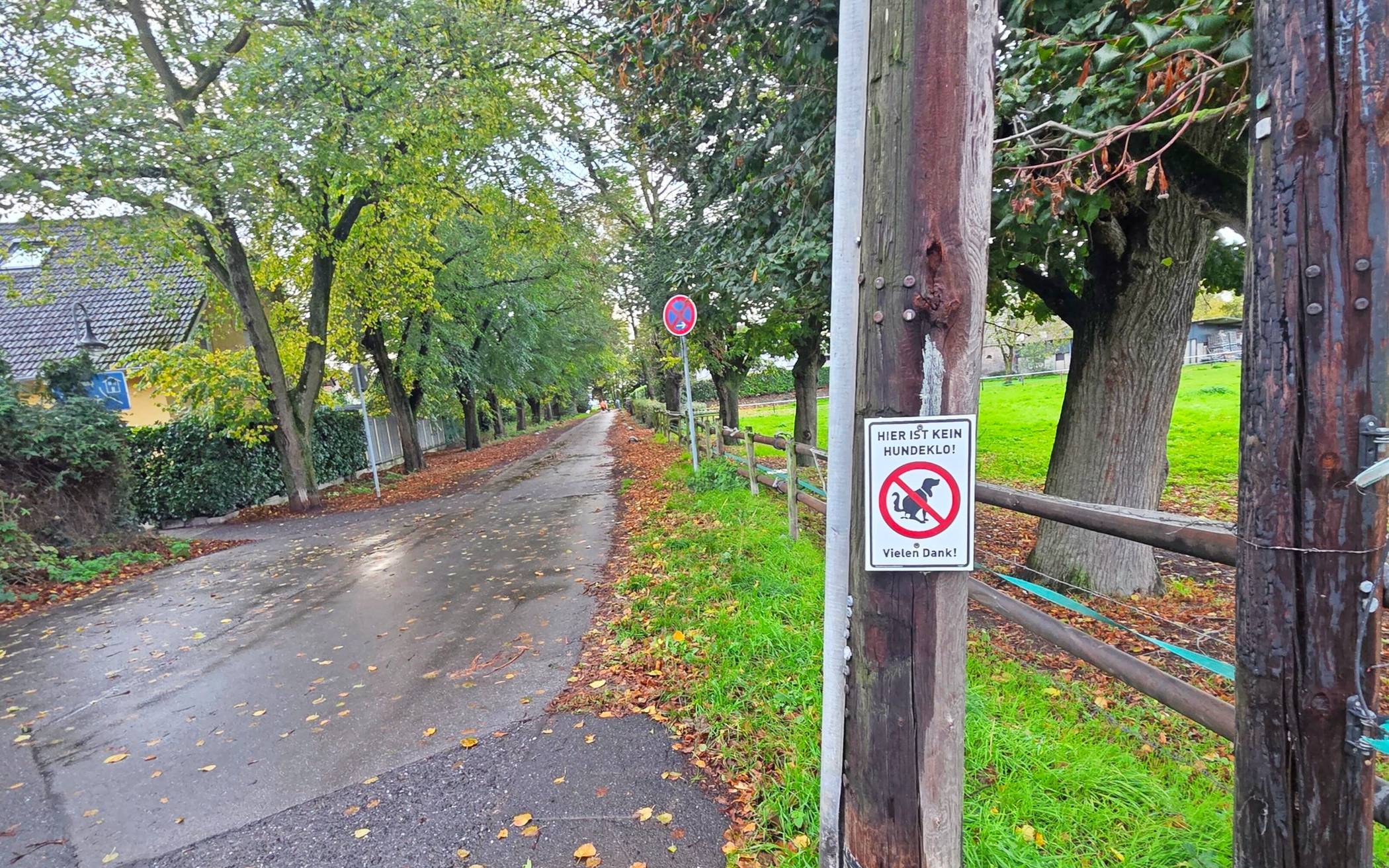 Trotz eindeutiger Beschilderung nutzen Hundebesitzer den