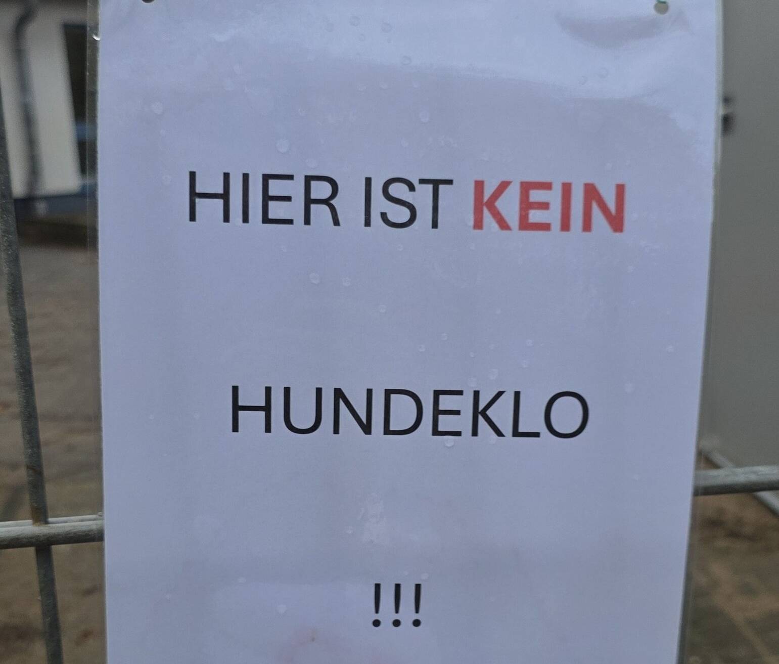  Auch der Kindergarten hat an seinem Eingang ein Schild „Hier ist kein Hundeklo“ angebracht. 