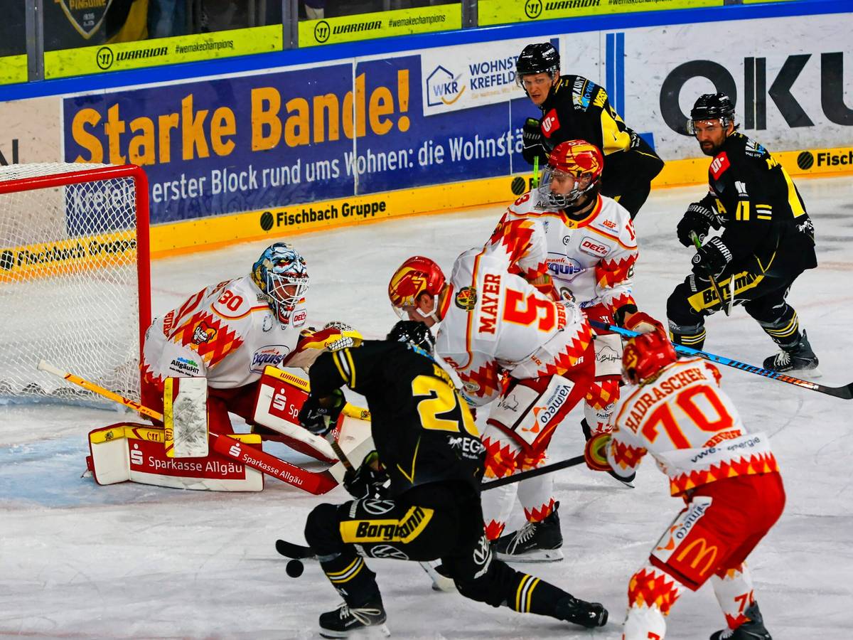 Pinguine sind voll auf Kurs