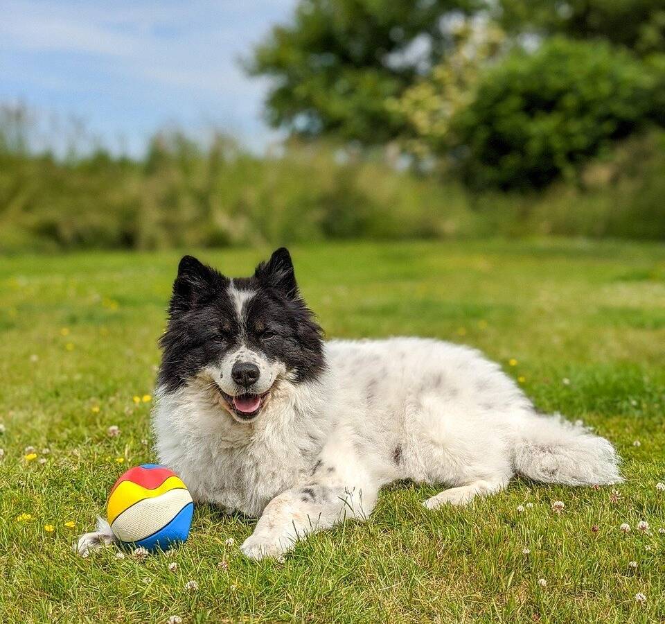Bark Date im Beller Park