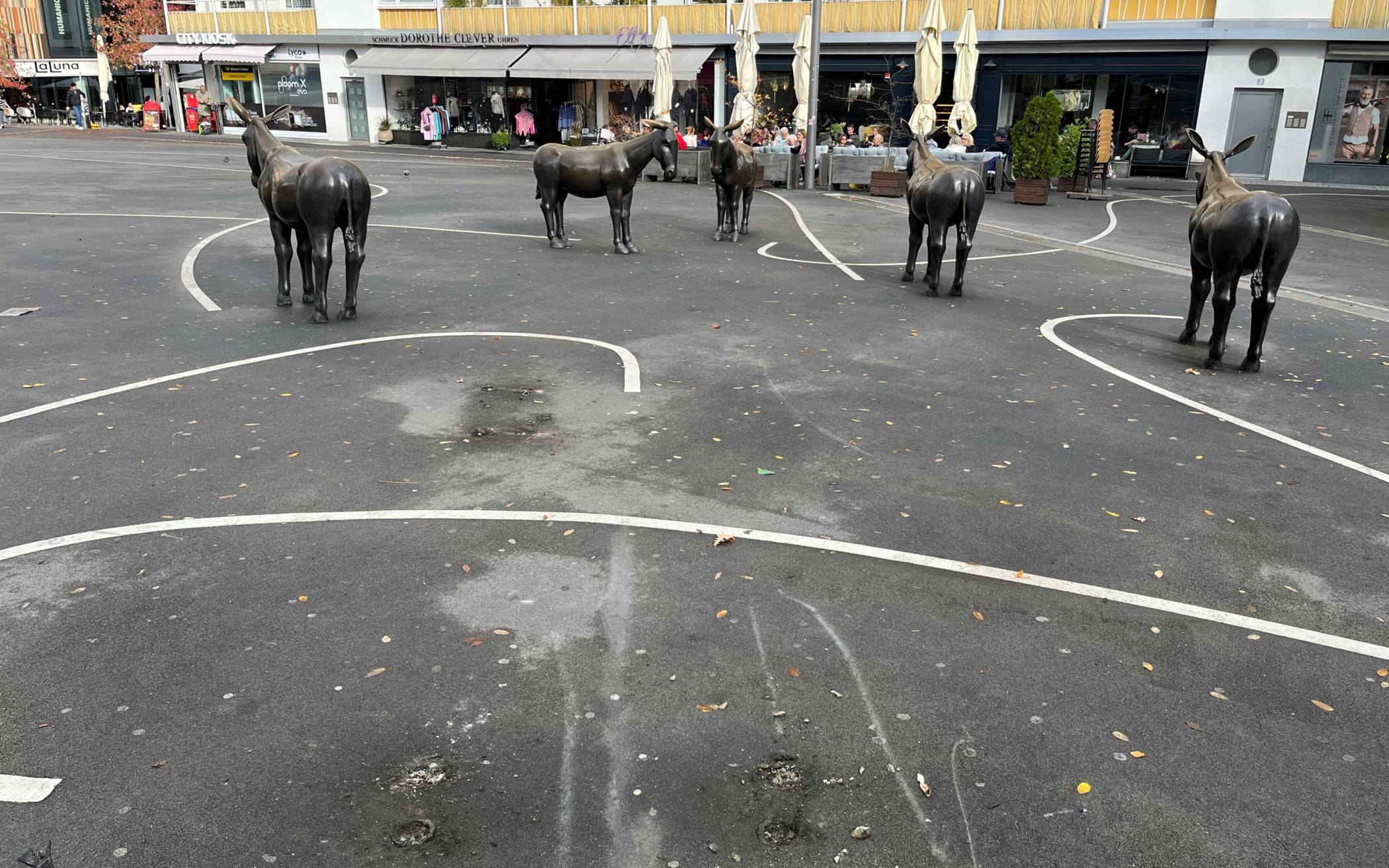 Vorerst bleibt es bei fünf Eseln