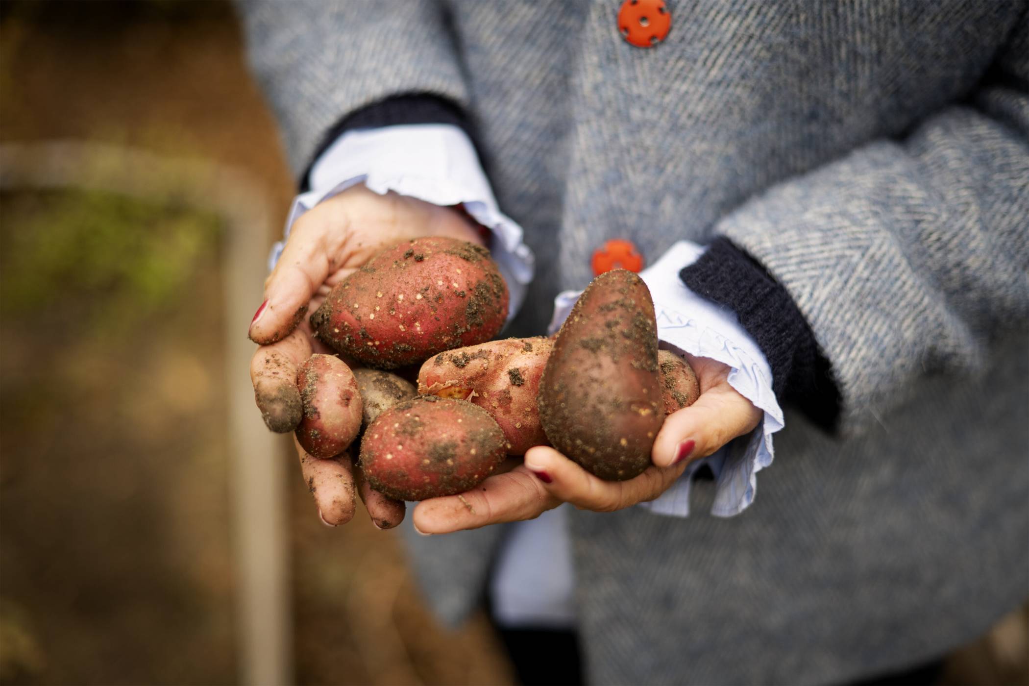 "Schlaue Löffel" unterstützt bedürftige Kinder: Mit Herz, Verstand und einem großen Löffel Liebe