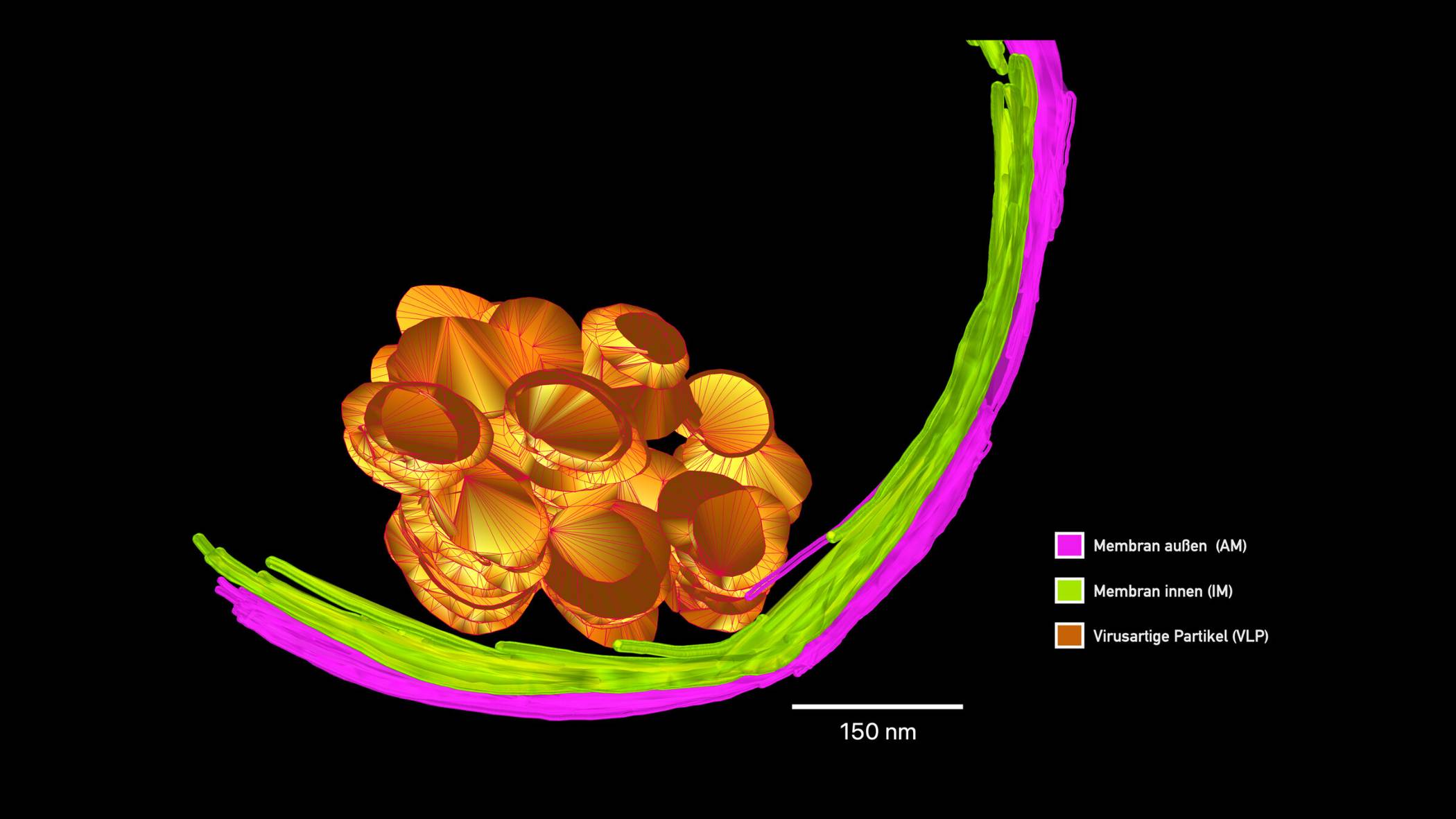 Vierter NRW-Hochleistungsrechner kommt nach Duisburg