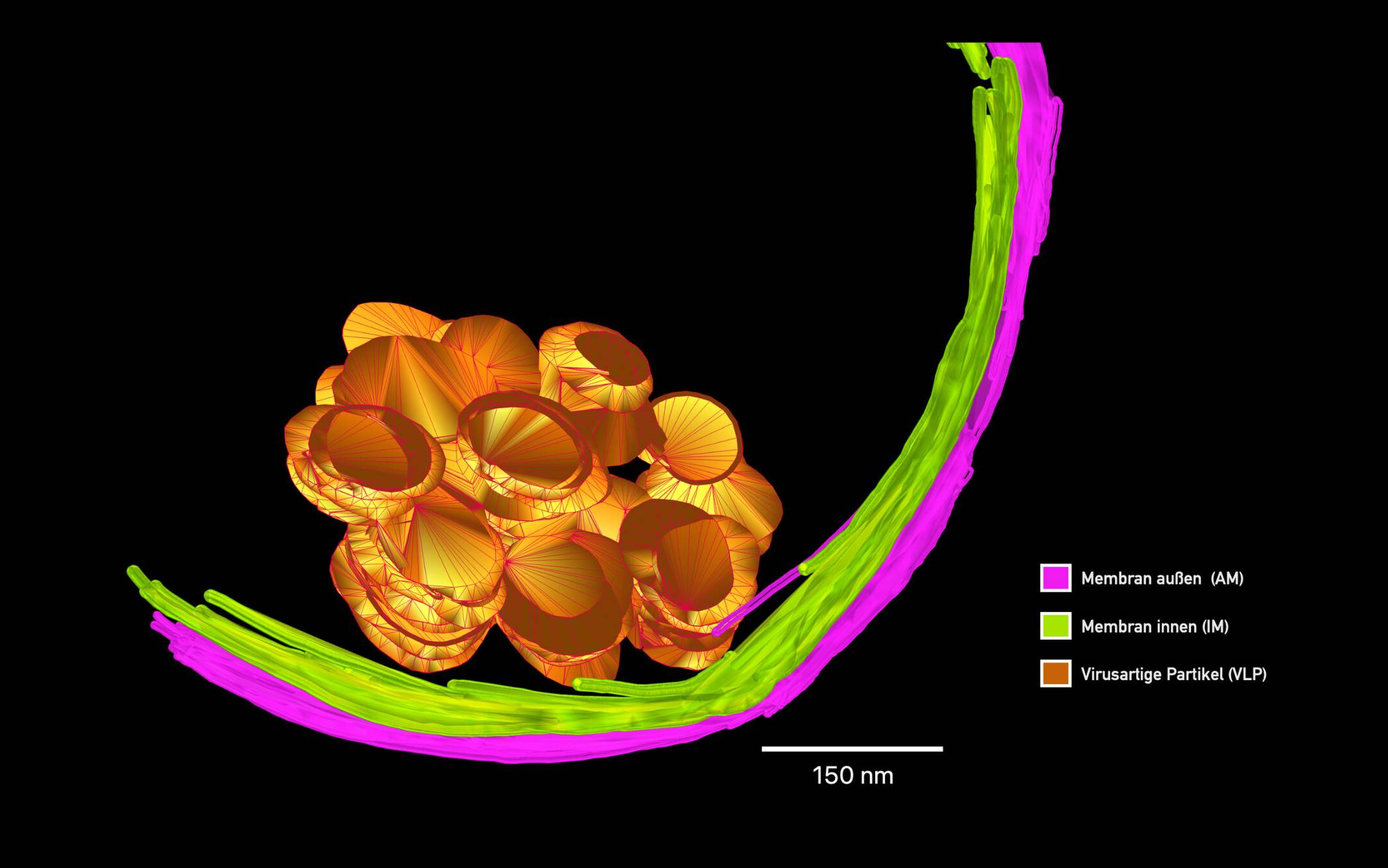 Vierter NRW-Hochleistungsrechner kommt nach Duisburg