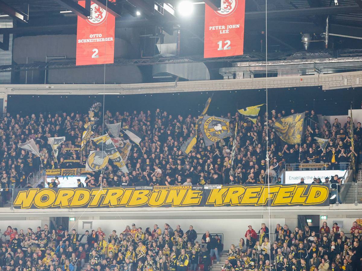 DEG will offenbar zweites „Pinguine-Heimspiel“ verhindern