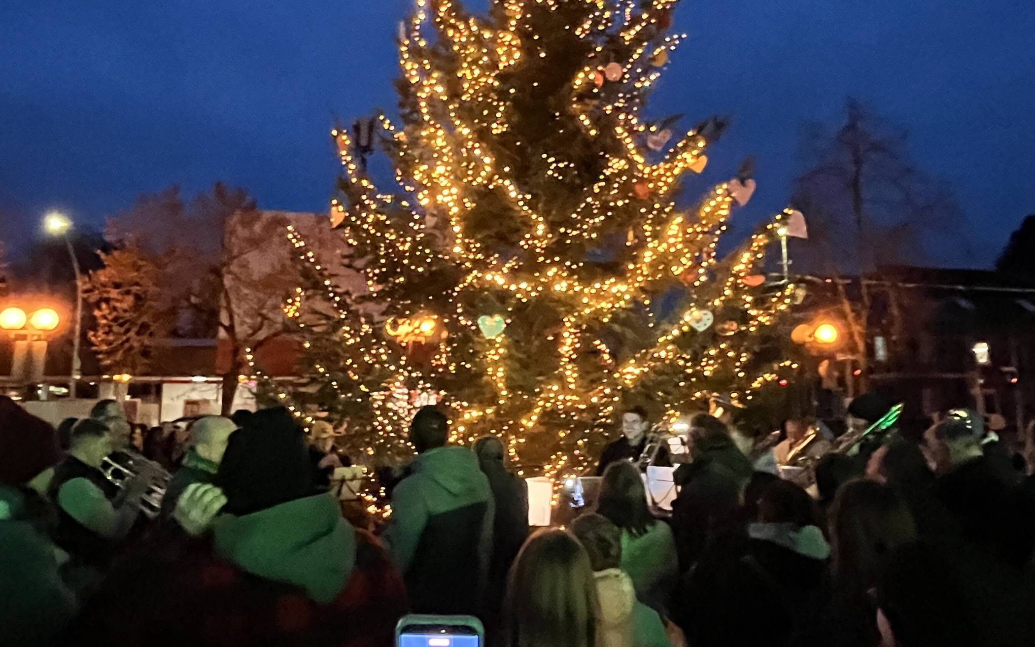 Weihnachtsbaum für die Hardter