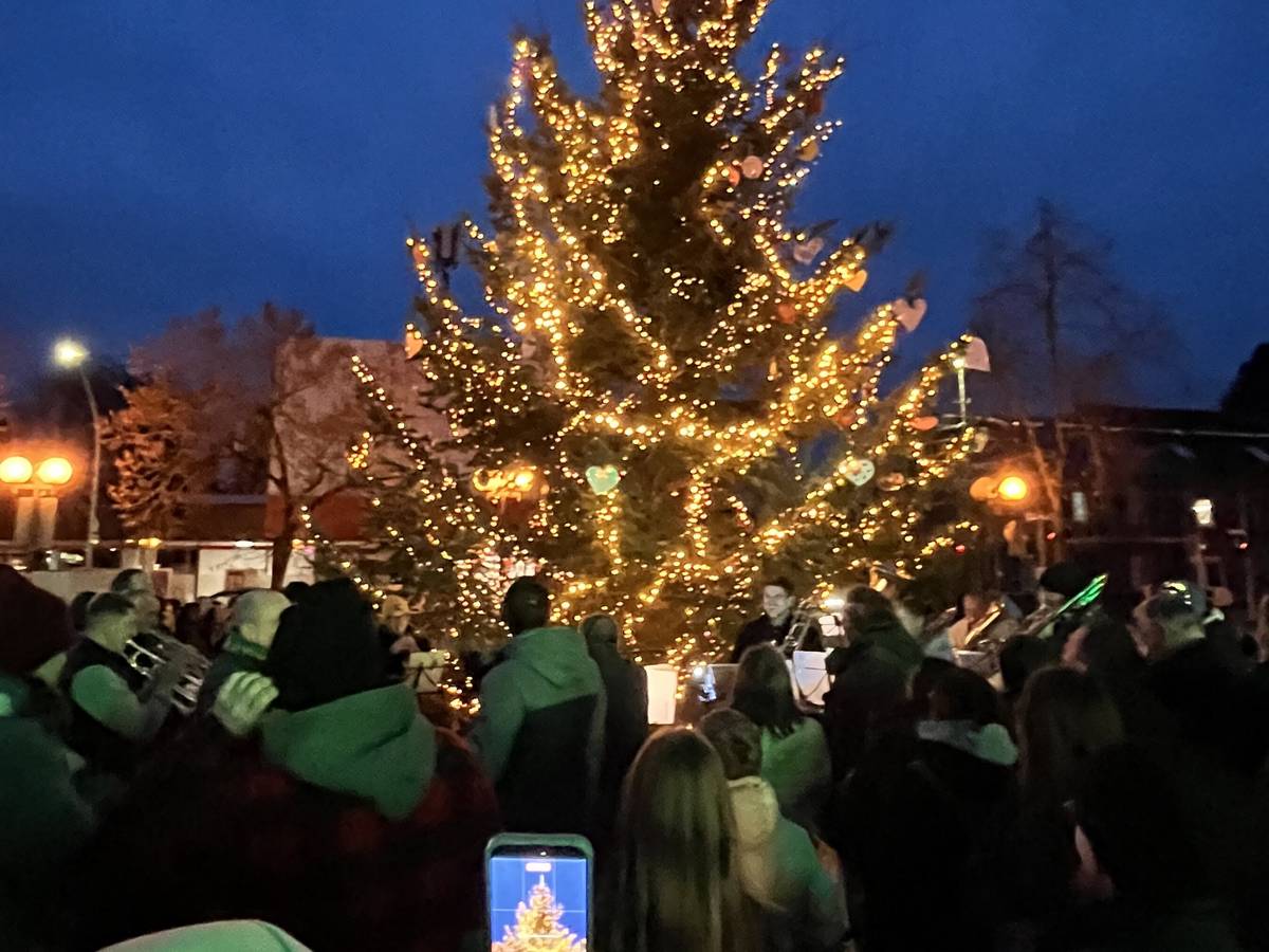 Weihnachtsbaum für die Hardter