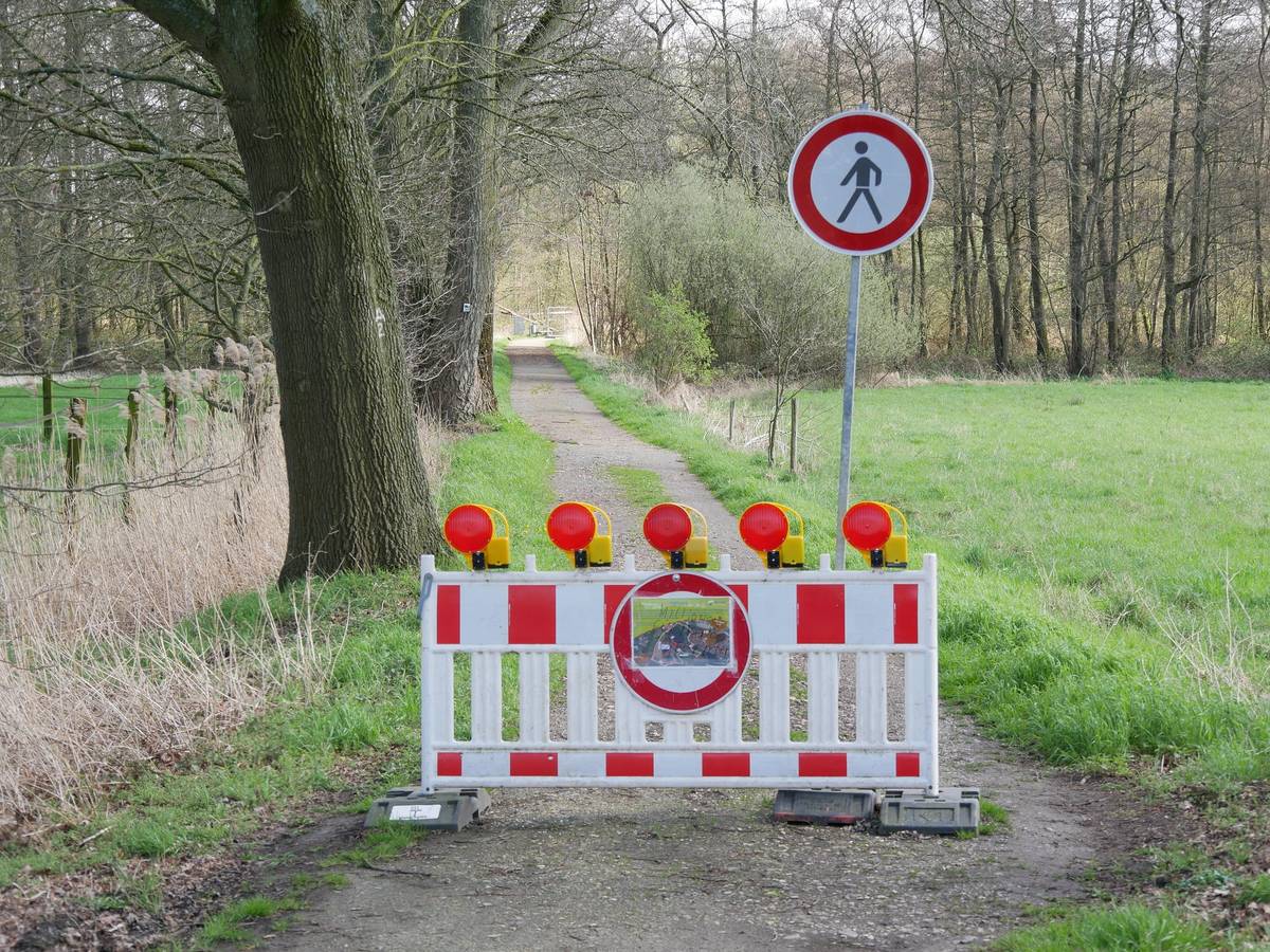 Stadt sucht Gleichgewicht mit dem Biber